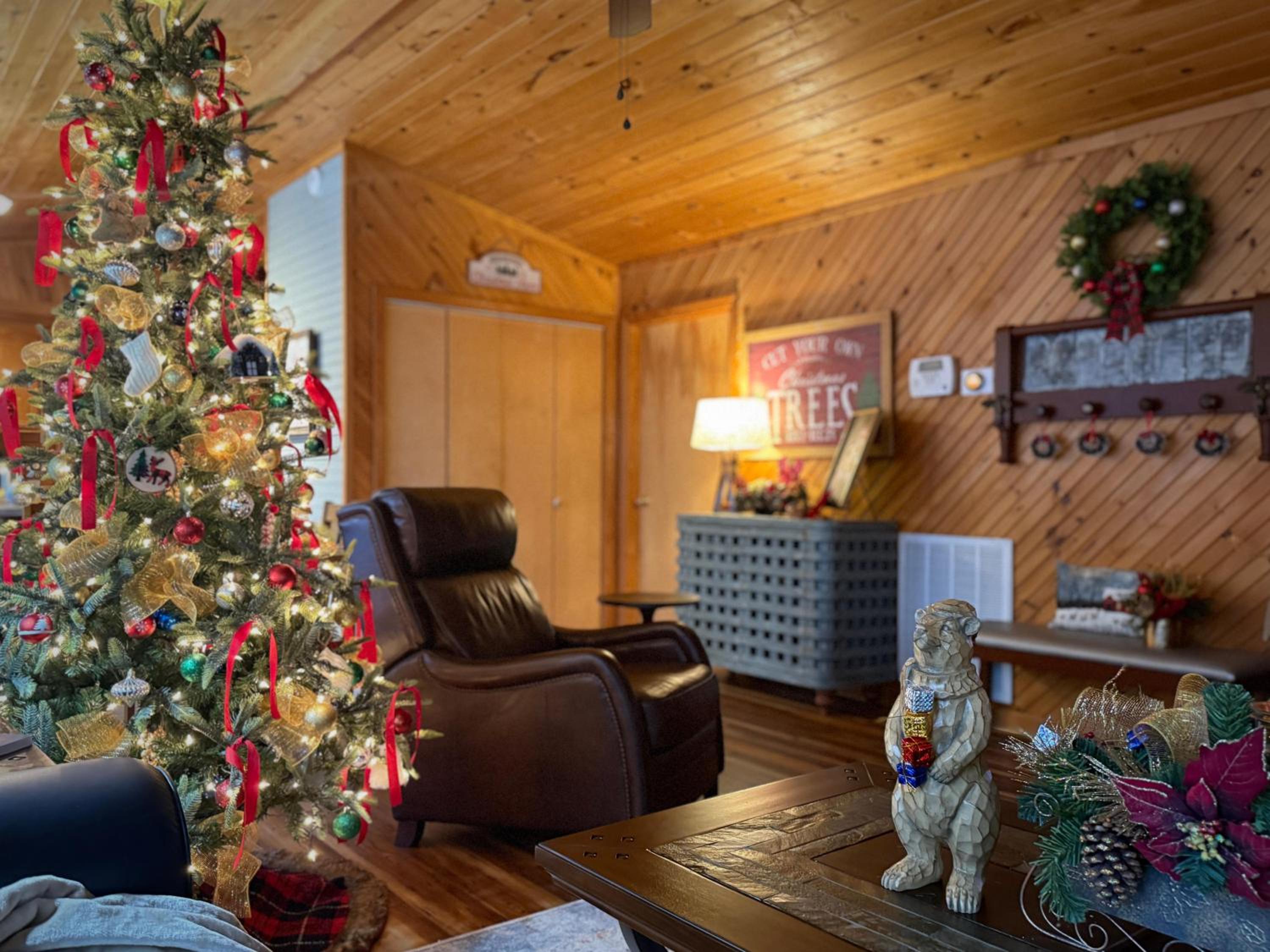 Diamond Creek Cabin view 2