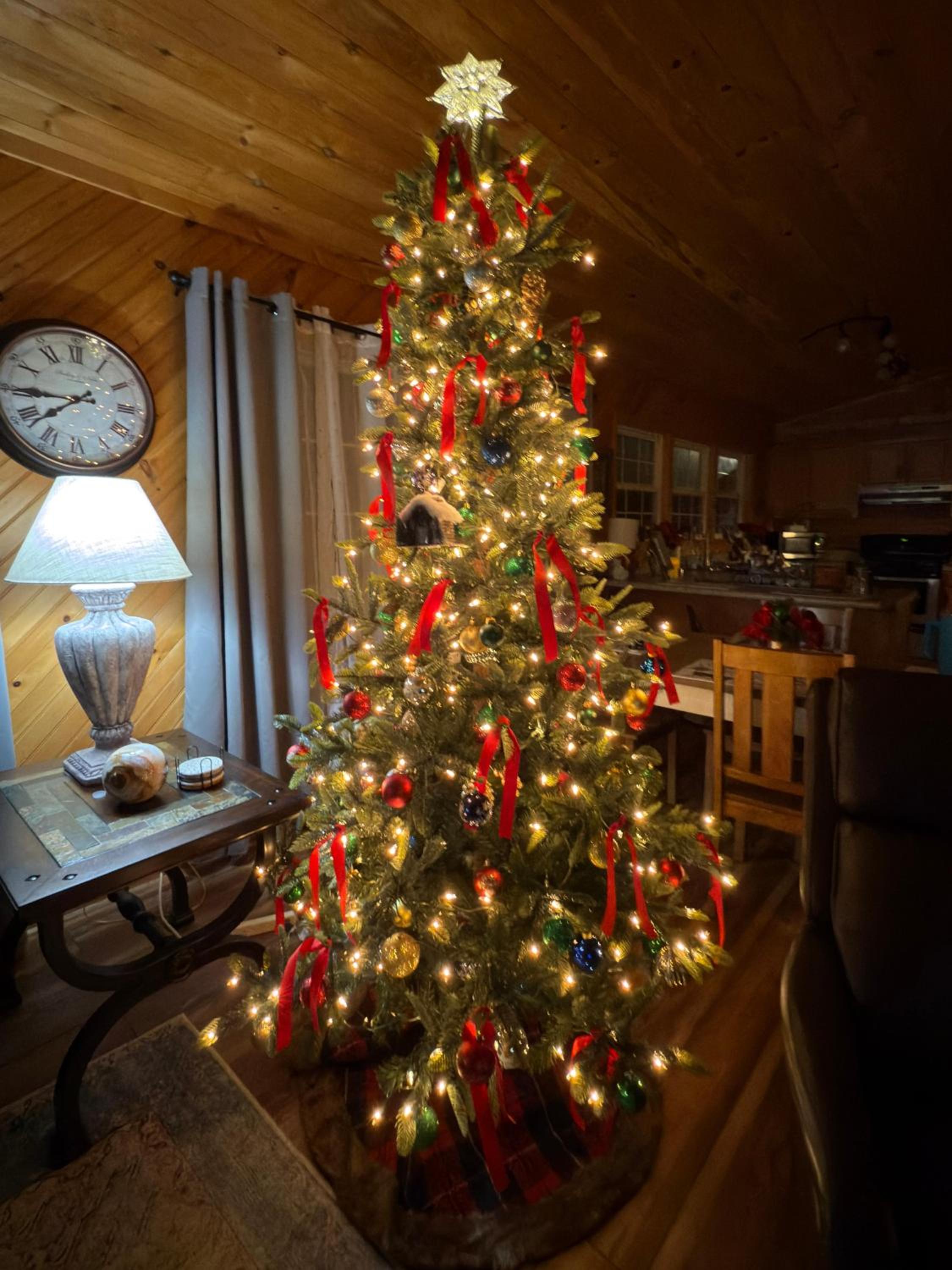 Diamond Creek Cabin view 3