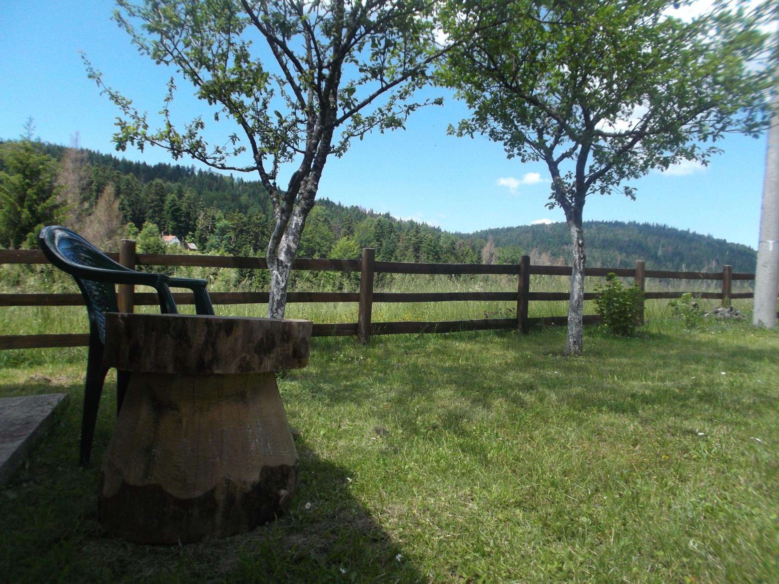 Photo 27