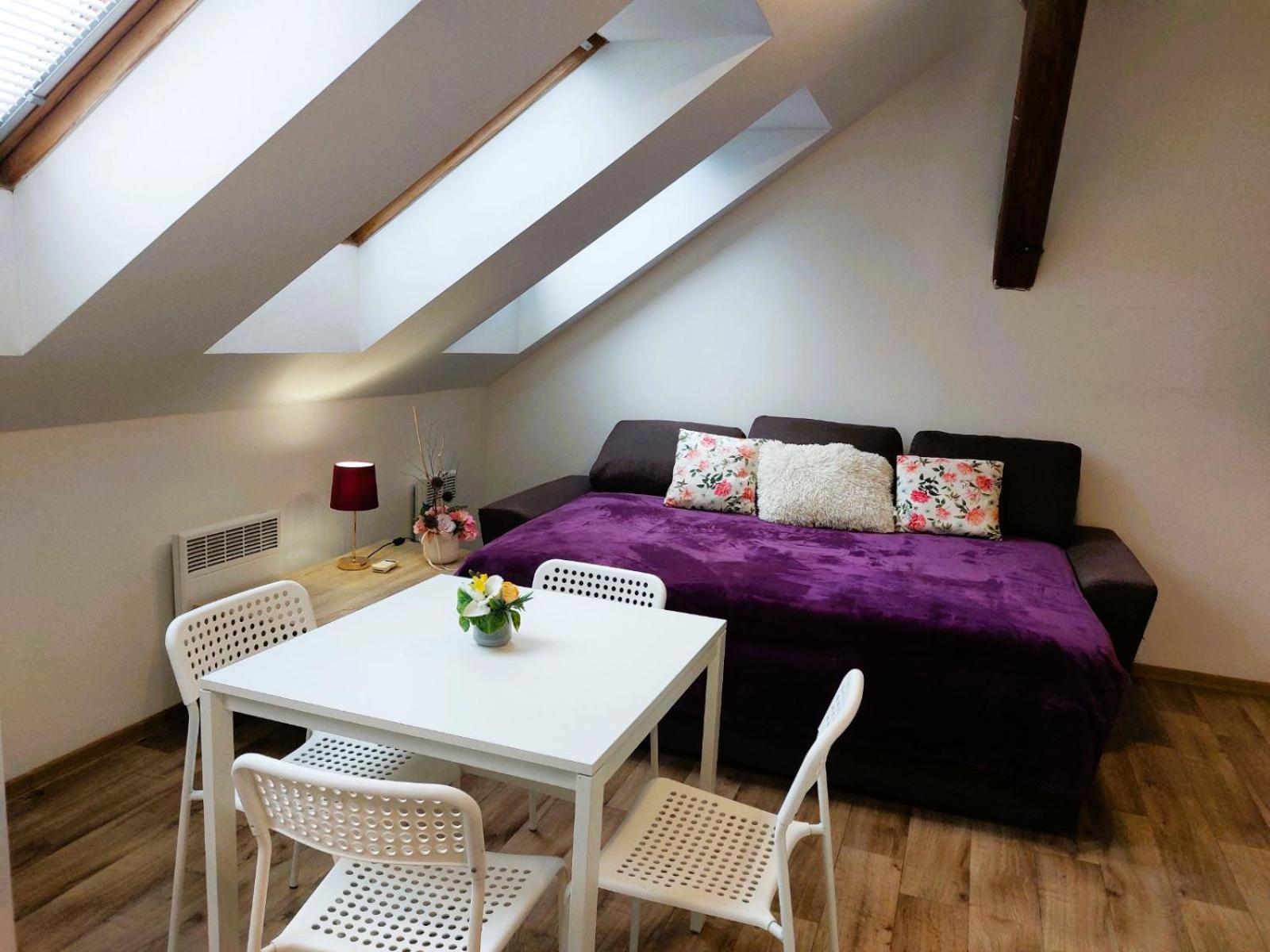 Charming Apartment in Historic City Center 40 m