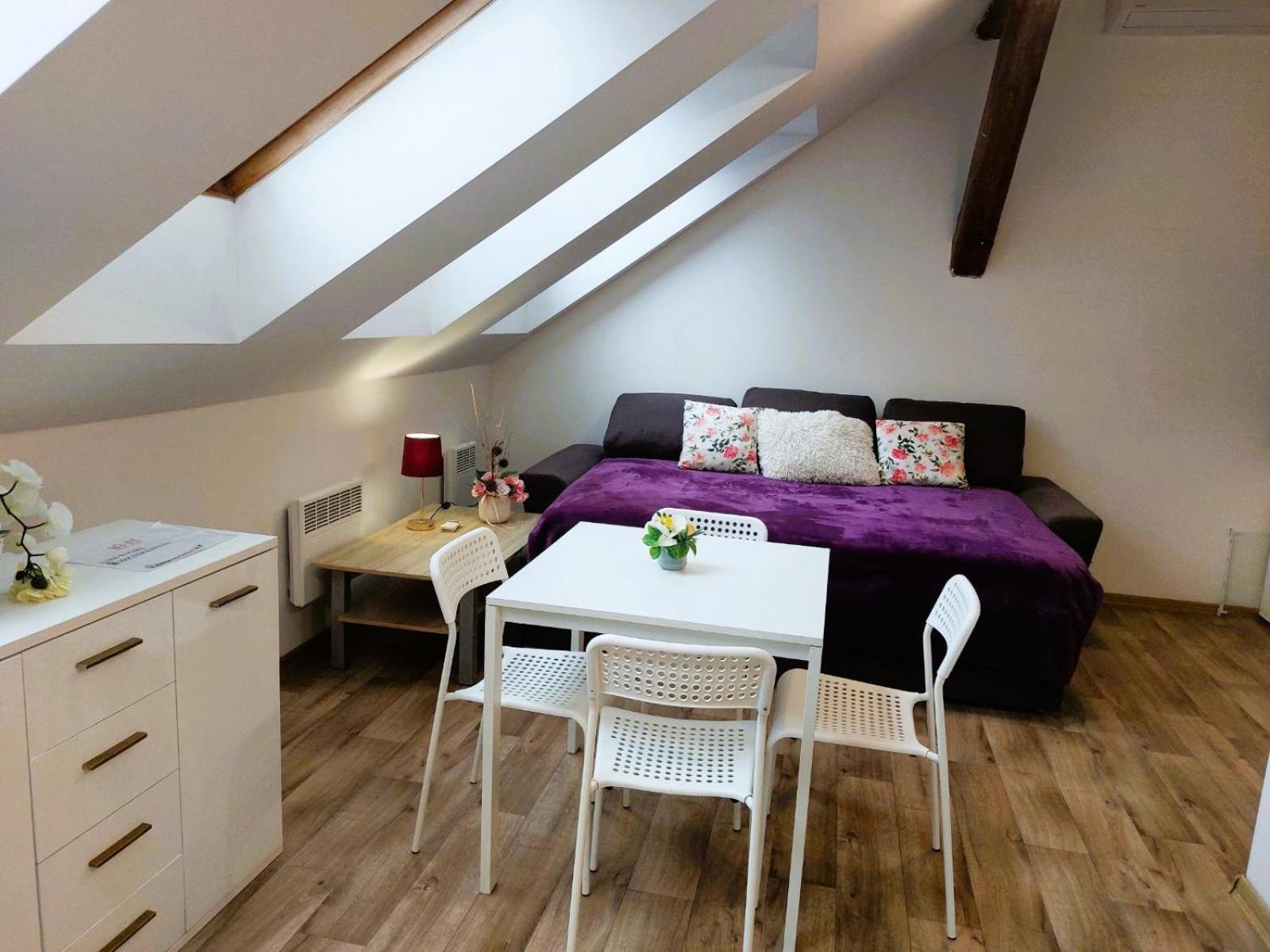 Charming Apartment in Historic City Center 40 m