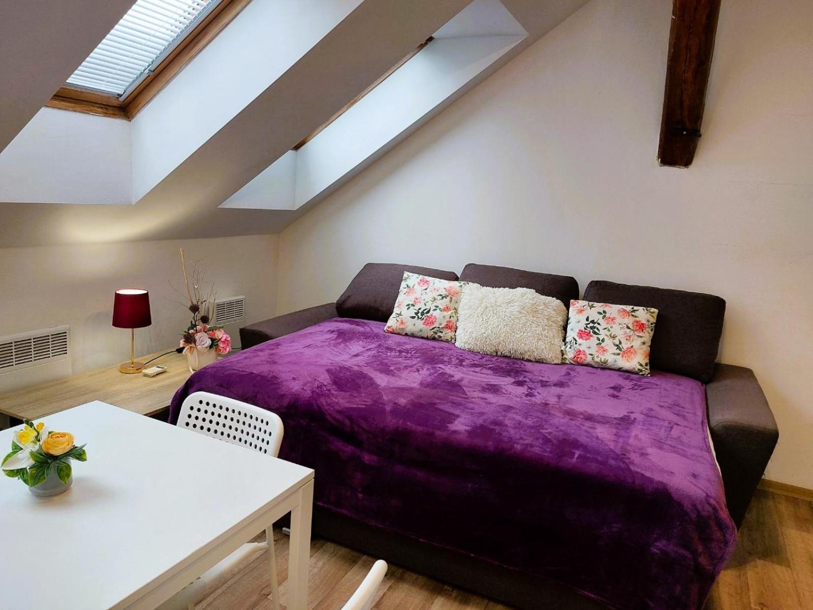 Charming Apartment in Historic City Center 40 m