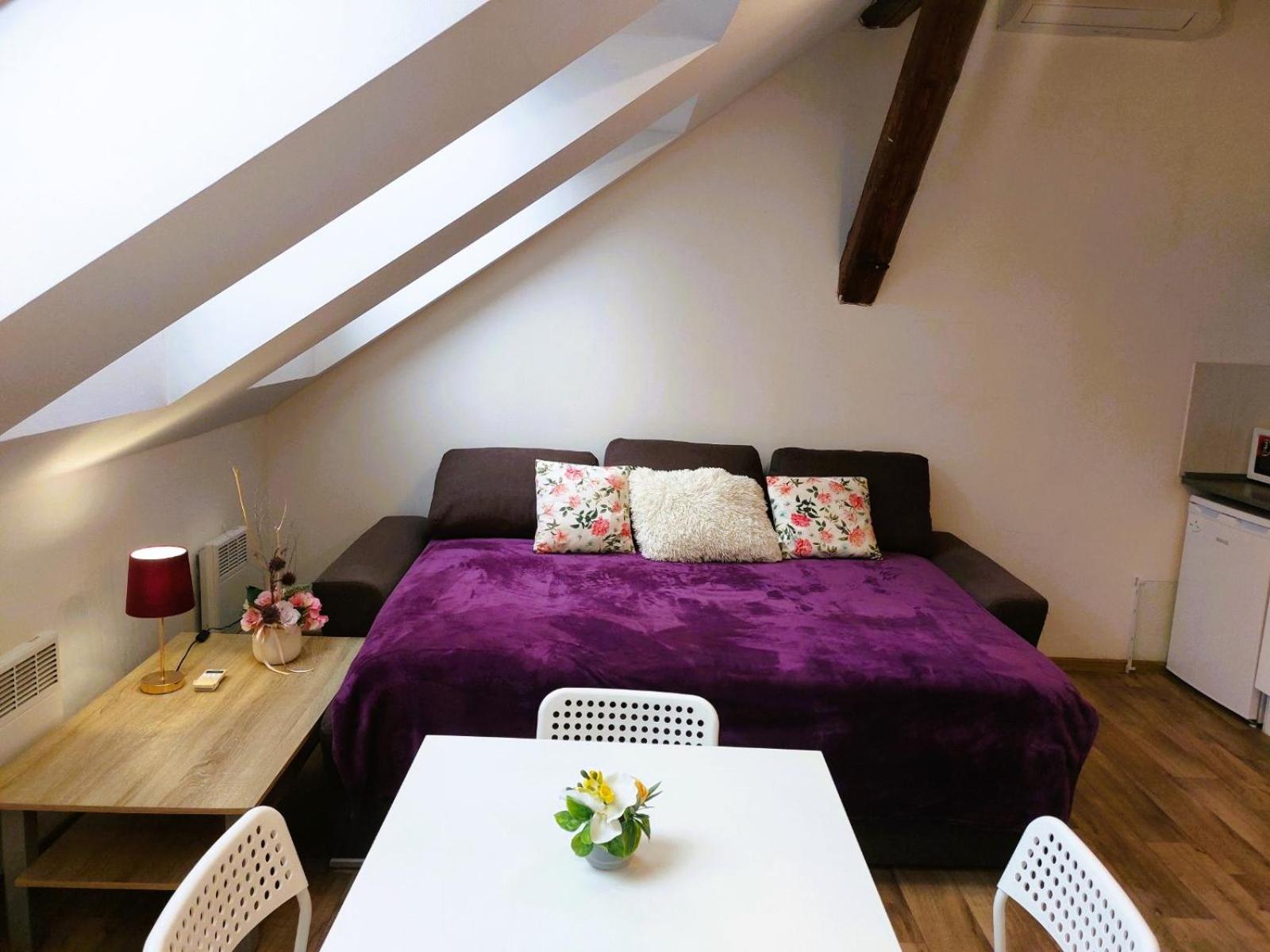 Charming Apartment in Historic City Center 40 m