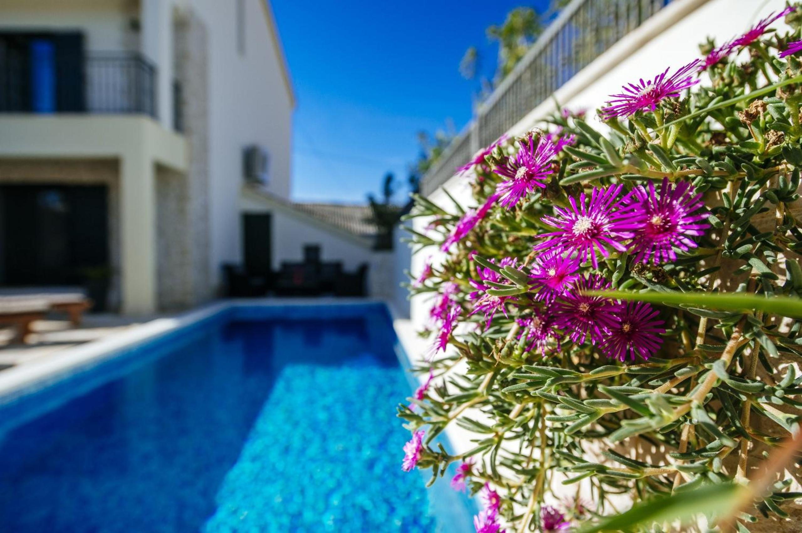 MY DALMATIA - Holiday home Castelo Coza with private pool view 3