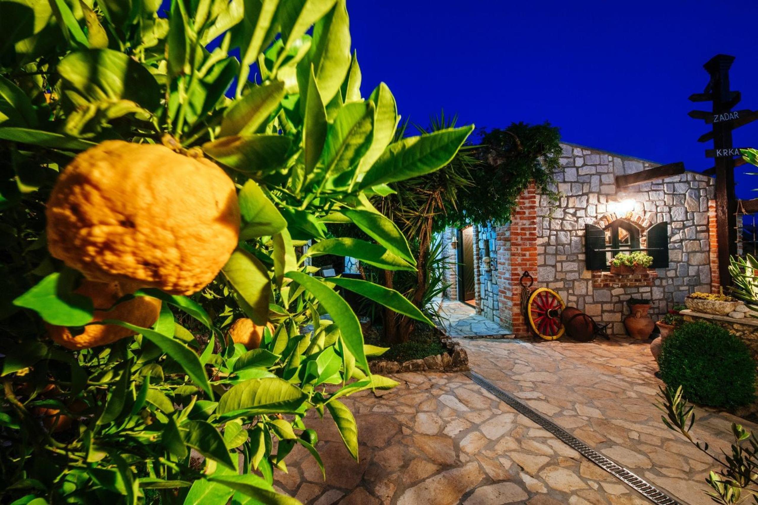 MY DALMATIA - Sea view villa Danica with private pool view 4