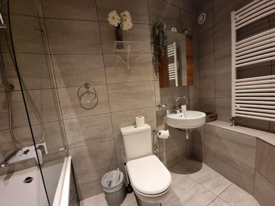 Large Duplex Flat at London Bridge