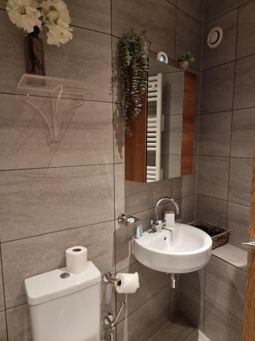 Large Duplex Flat at London Bridge