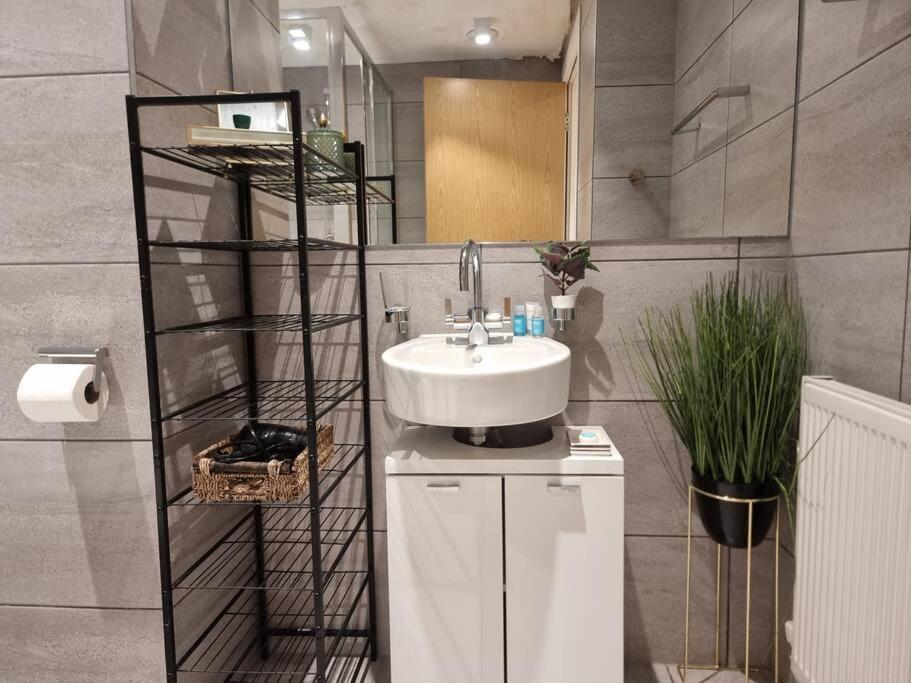 Large Duplex Flat at London Bridge