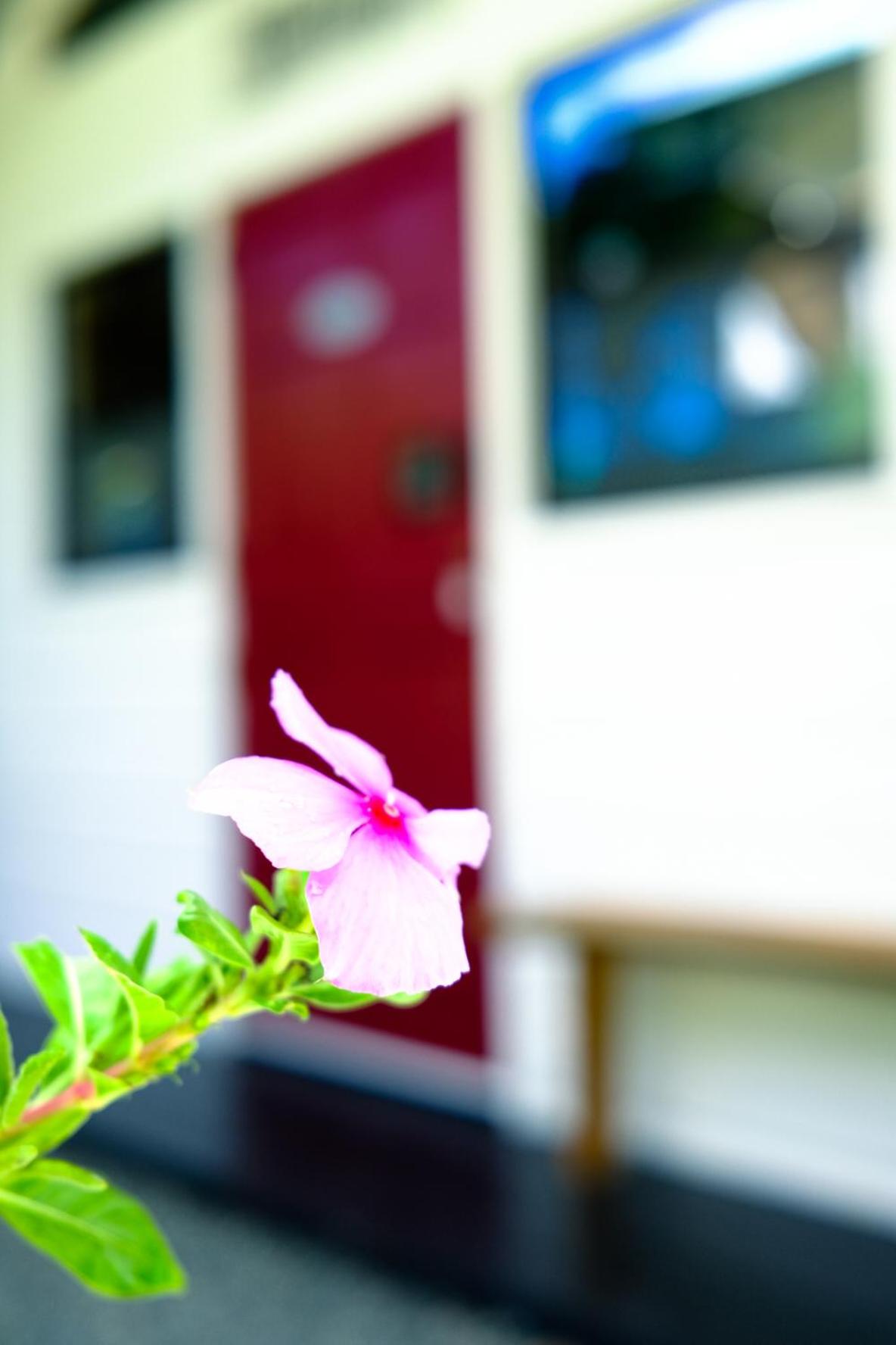 Silk Cotton Cottages
