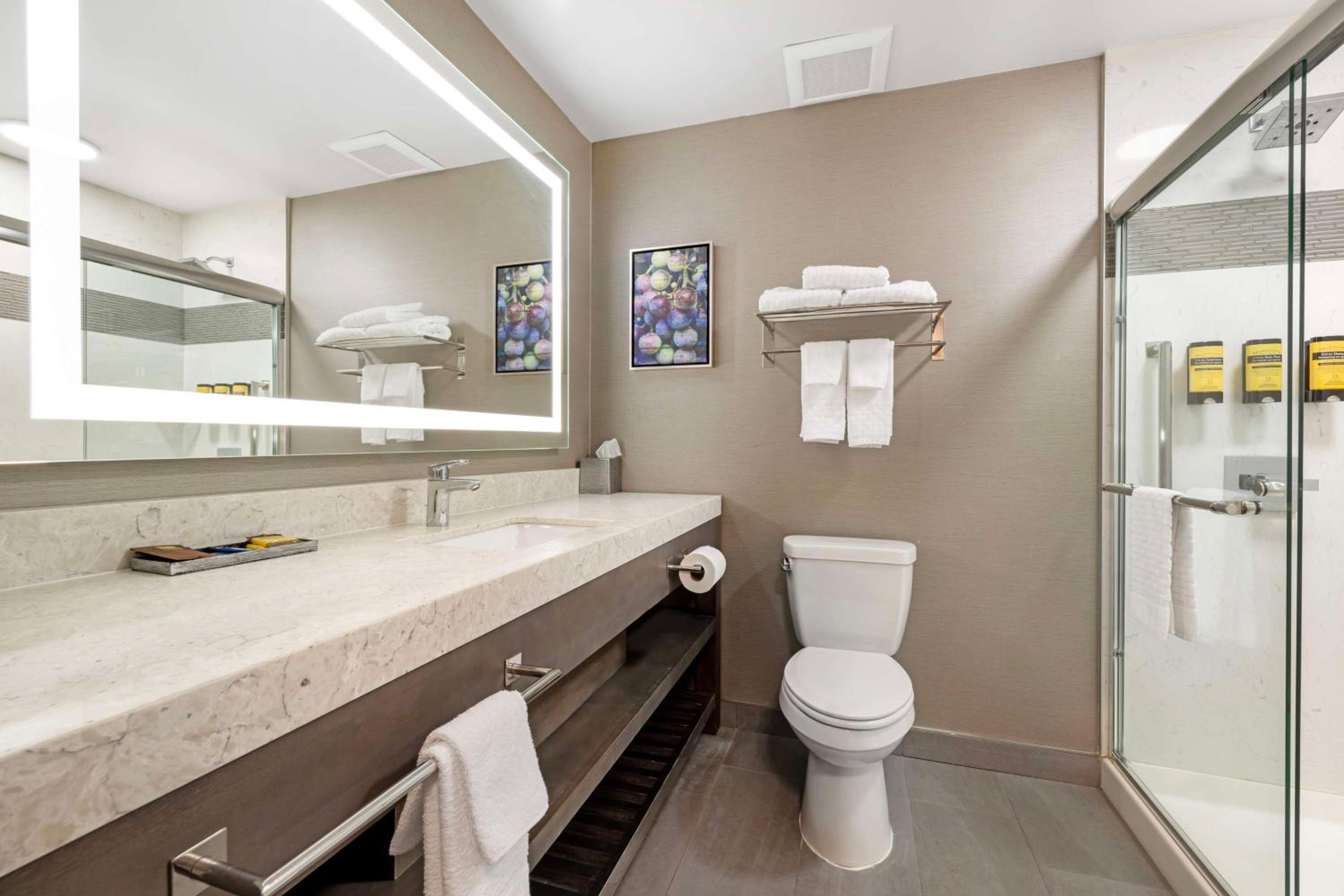 Temecula Vacations - Best Western Plus Temecula Wine Country Hotel Suites - Property Image 13
