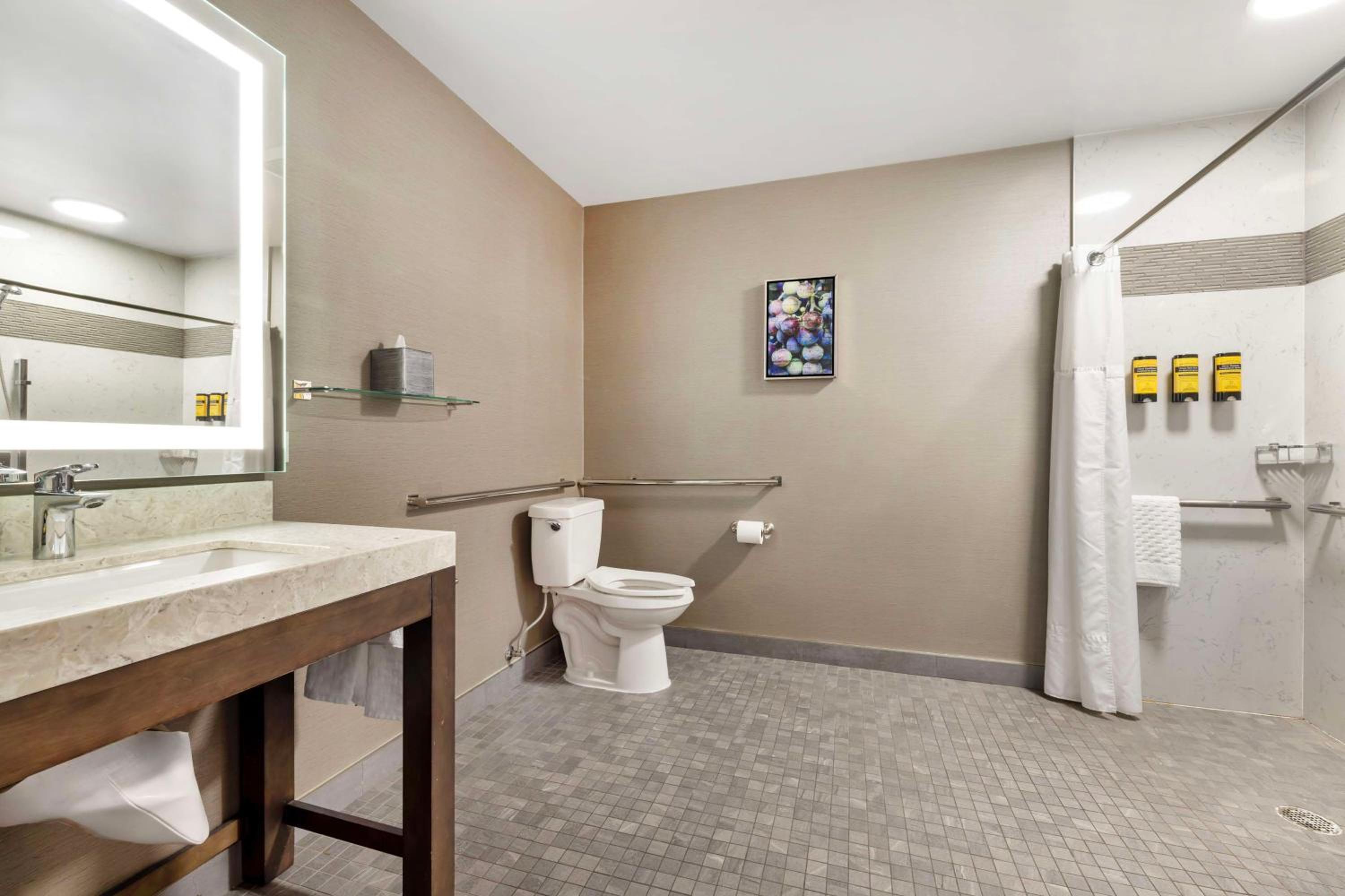Temecula Vacations - Best Western Plus Temecula Wine Country Hotel Suites - Property Image 15