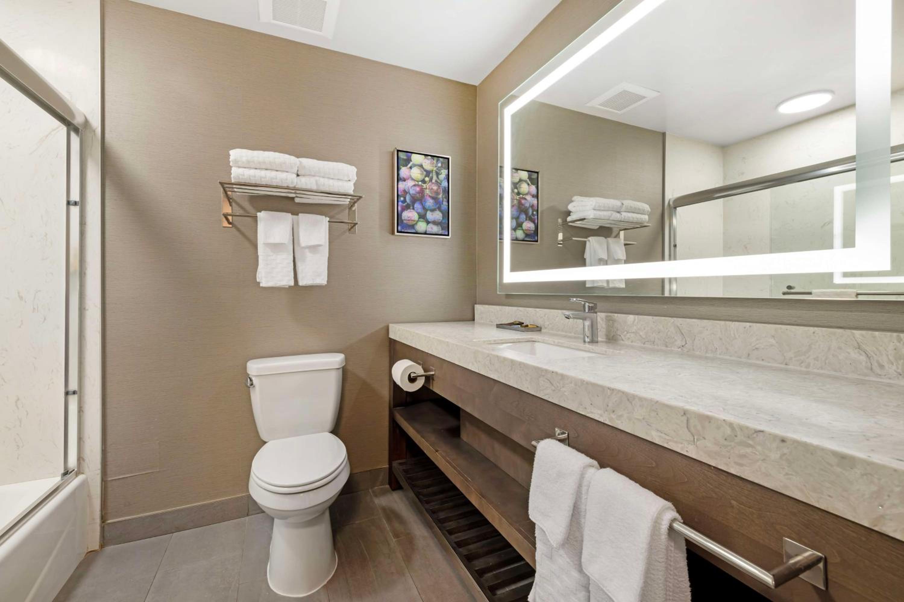 Temecula Vacations - Best Western Plus Temecula Wine Country Hotel Suites - Property Image 16