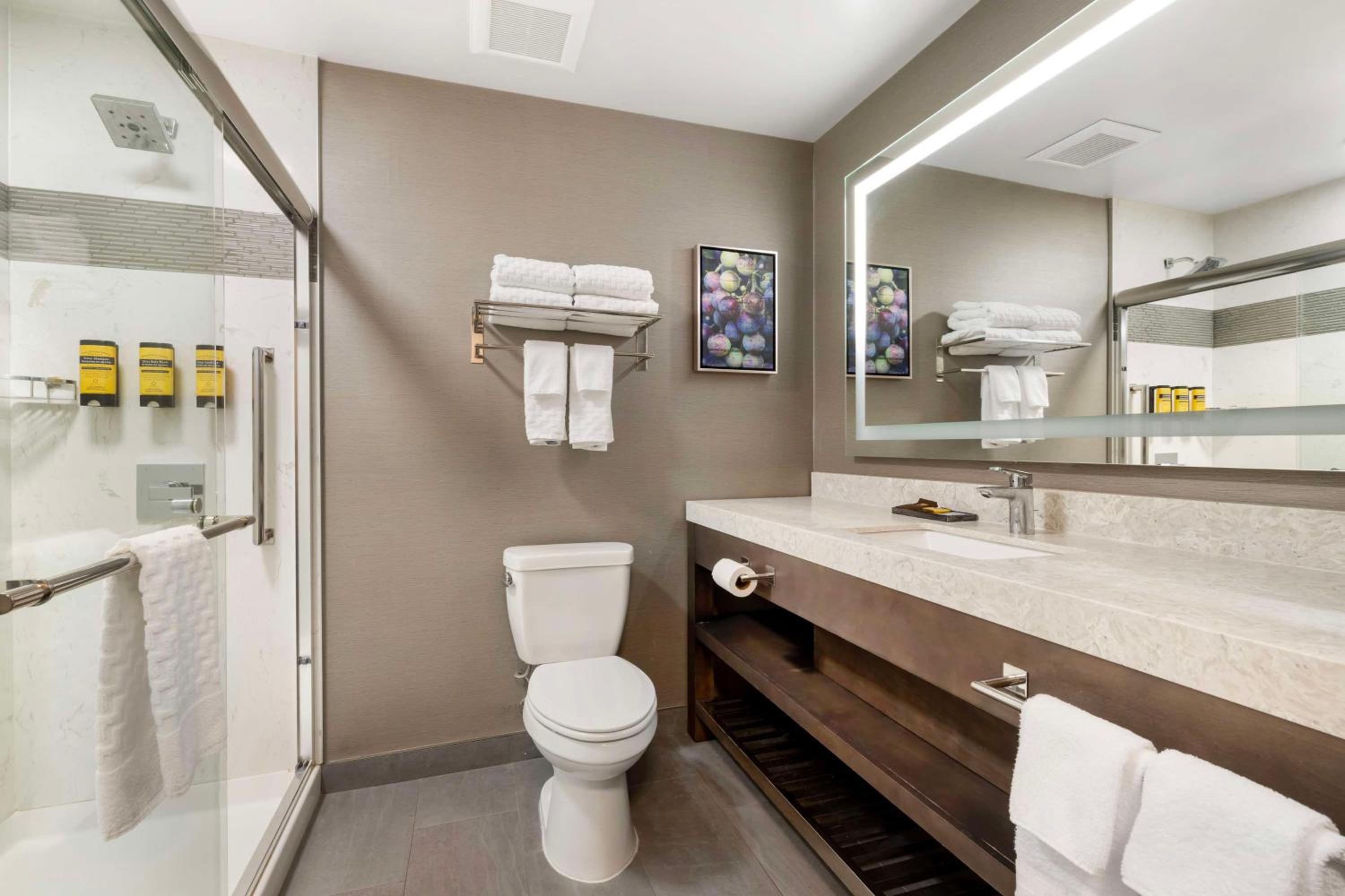 Temecula Vacations - Best Western Plus Temecula Wine Country Hotel Suites - Property Image 17