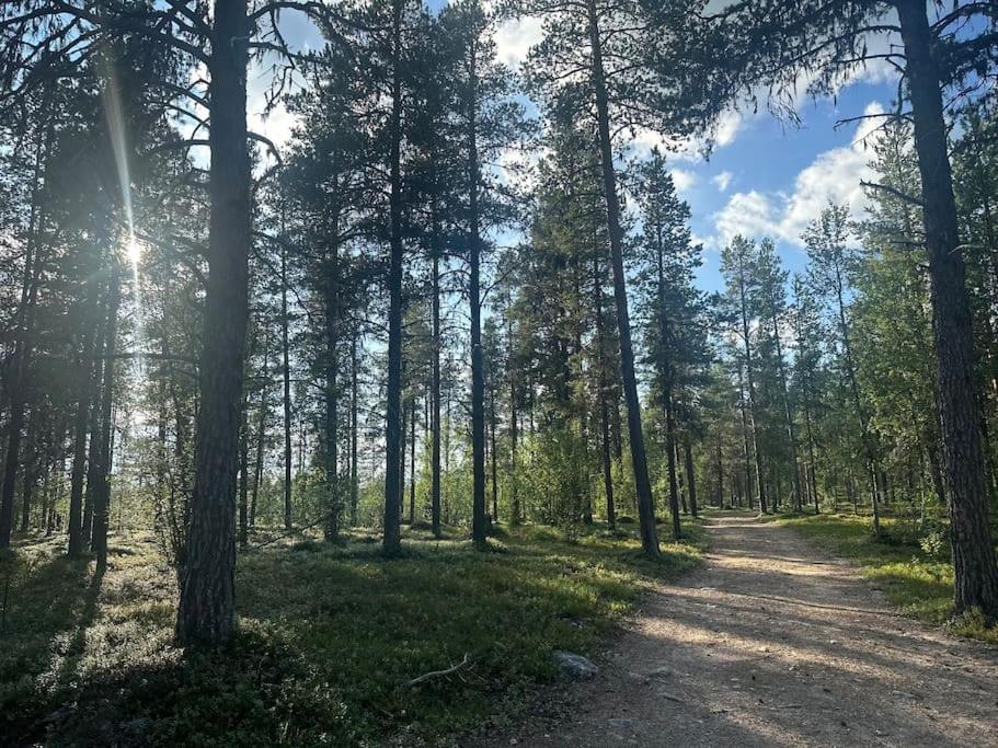 Lapland Lake Hideout with Modern Amenities and Activities