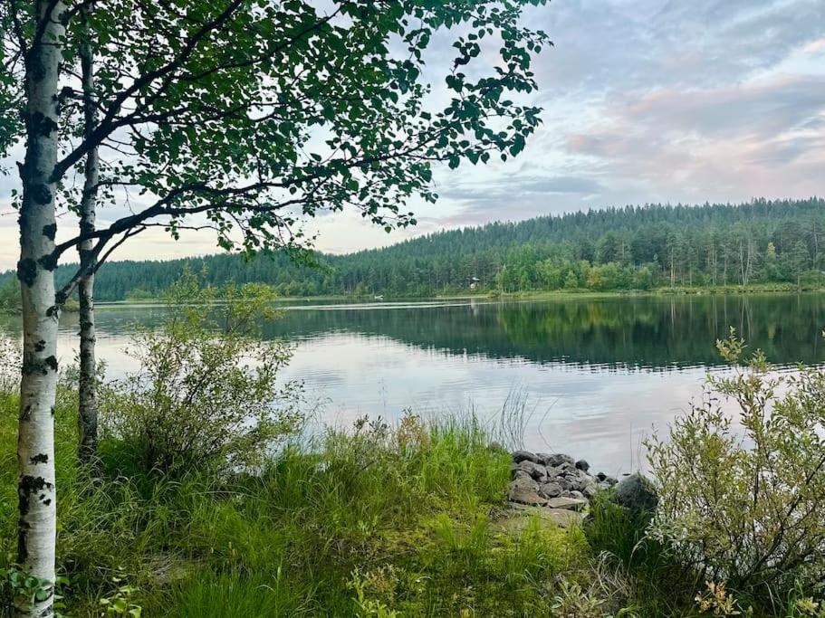 Lapland Lake Hideout with Modern Amenities and Activities