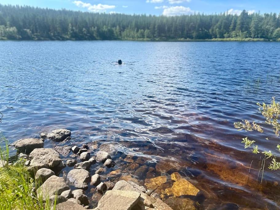Lapland Lake Hideout with Modern Amenities and Activities