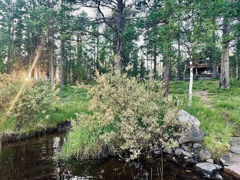 Lapland Lake Hideout with Modern Amenities and Activities