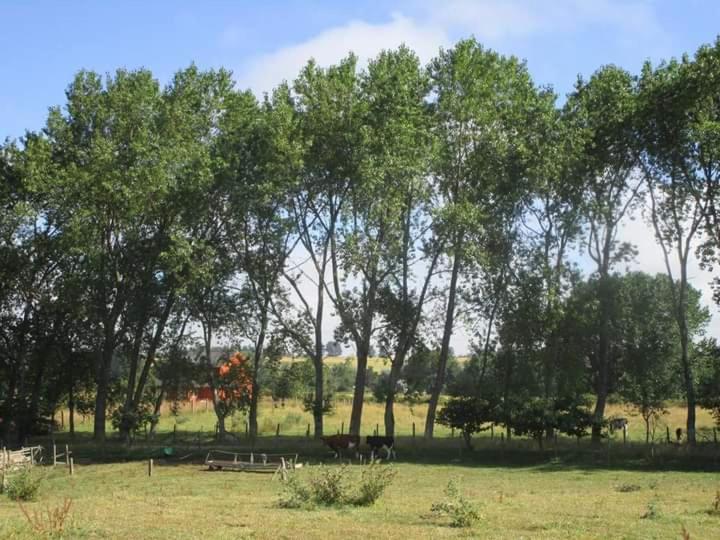 Cabaña Punto Medio