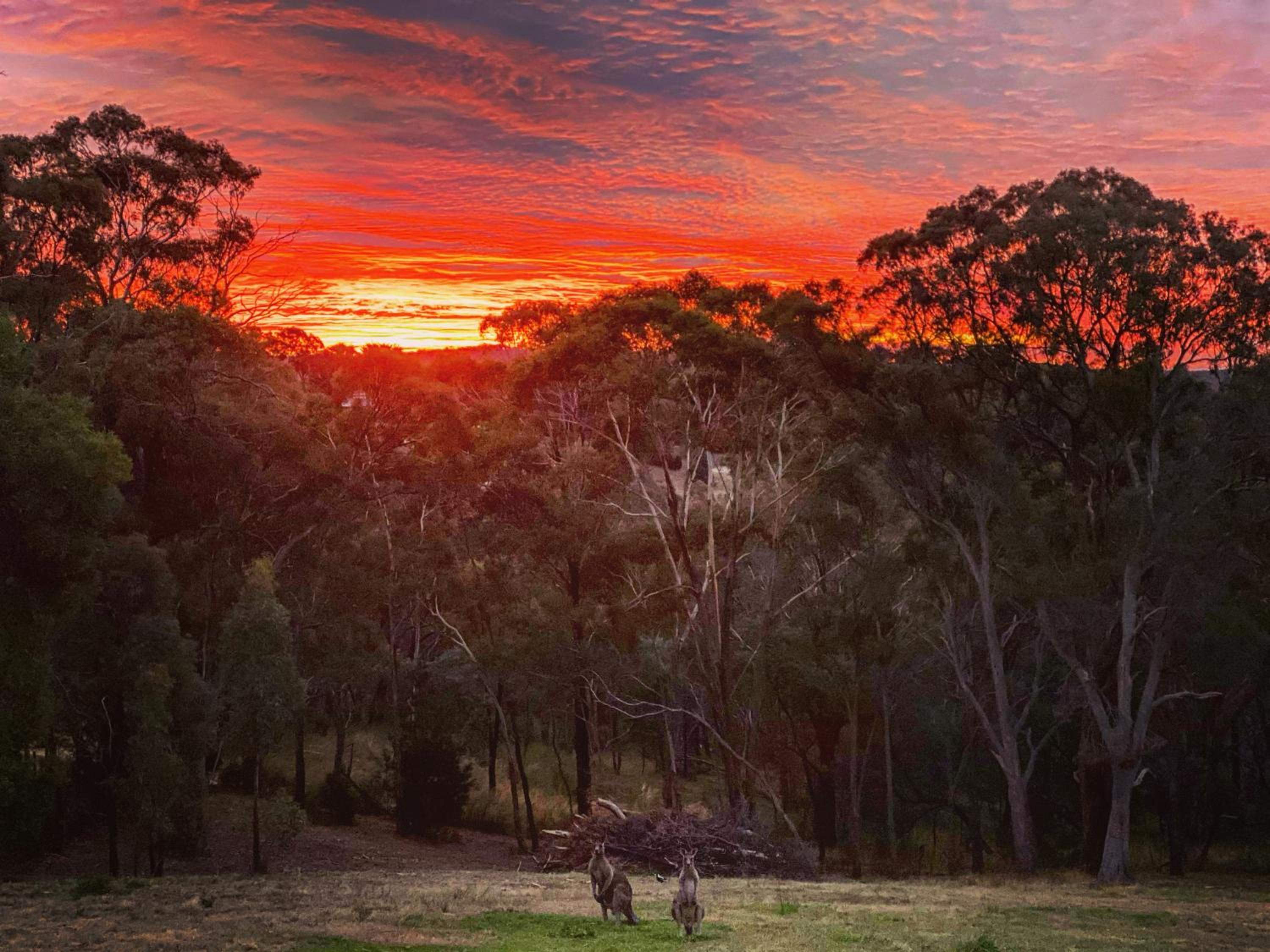 Red Gables Daylesford Suites