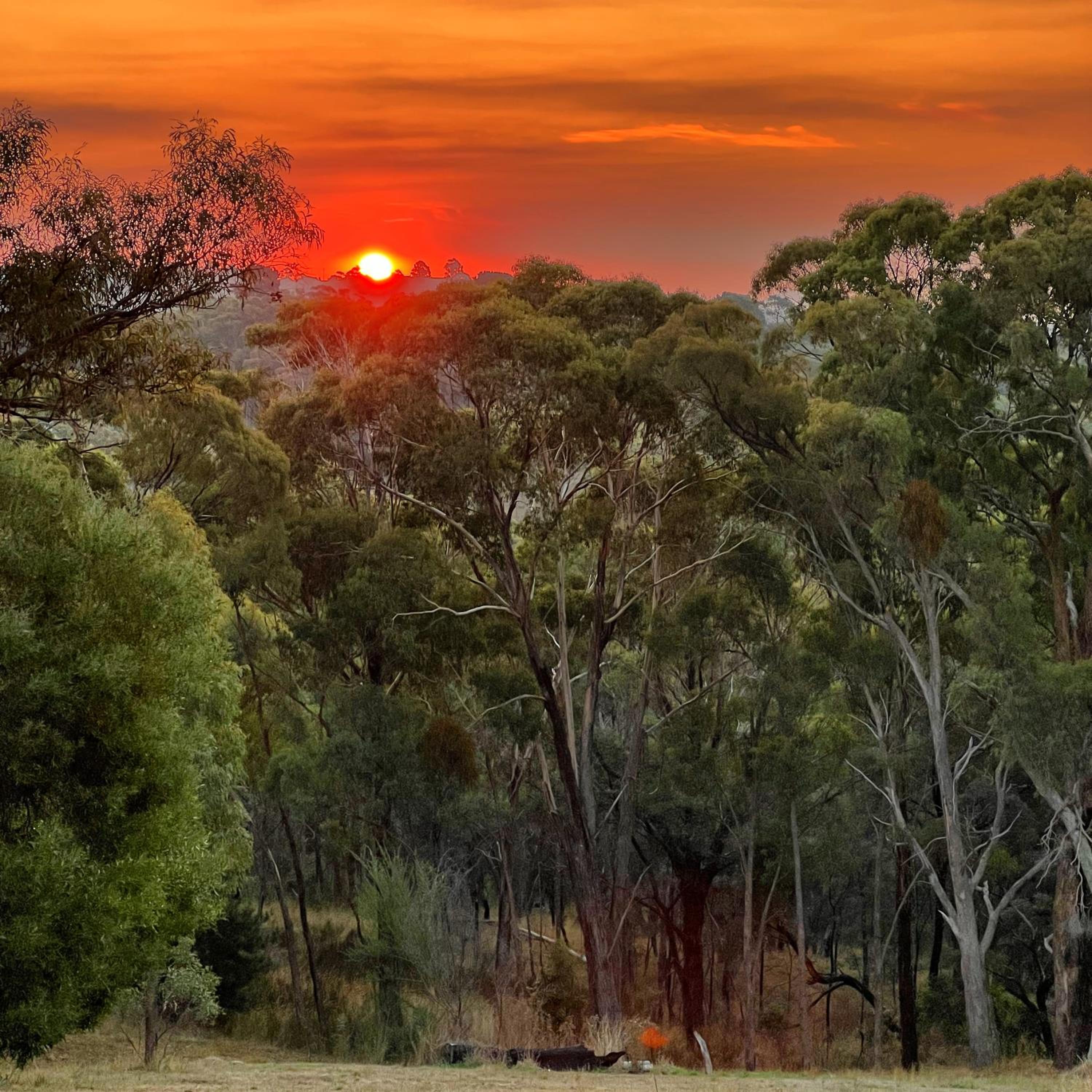 Red Gables Daylesford Suites