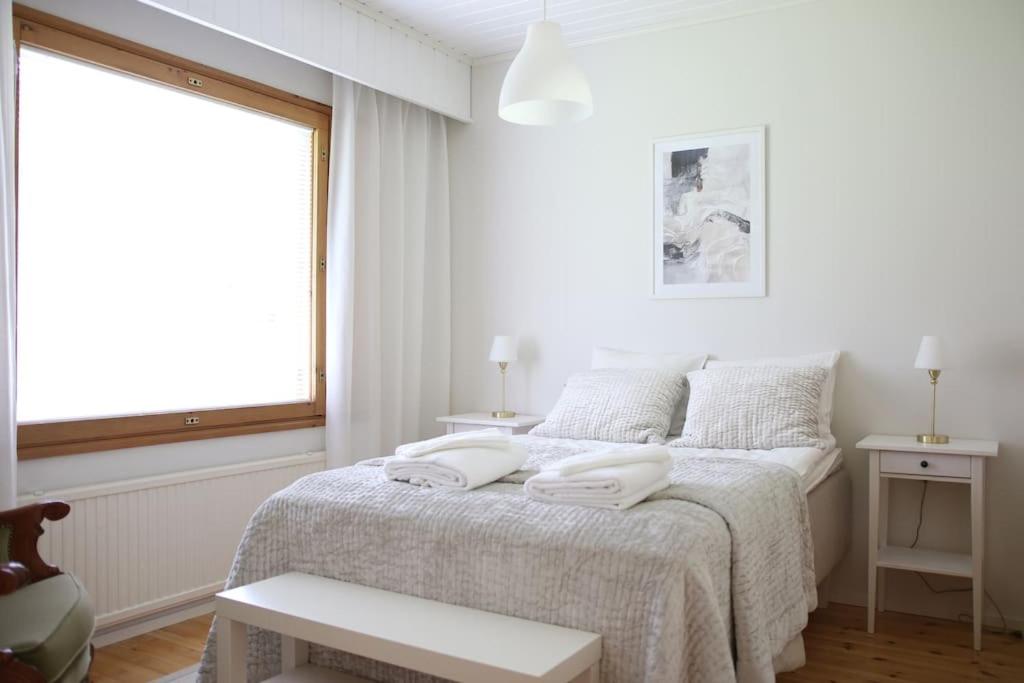 Private House VILLA JOKI near Center, River view, Free Onsite Parking, WiFi