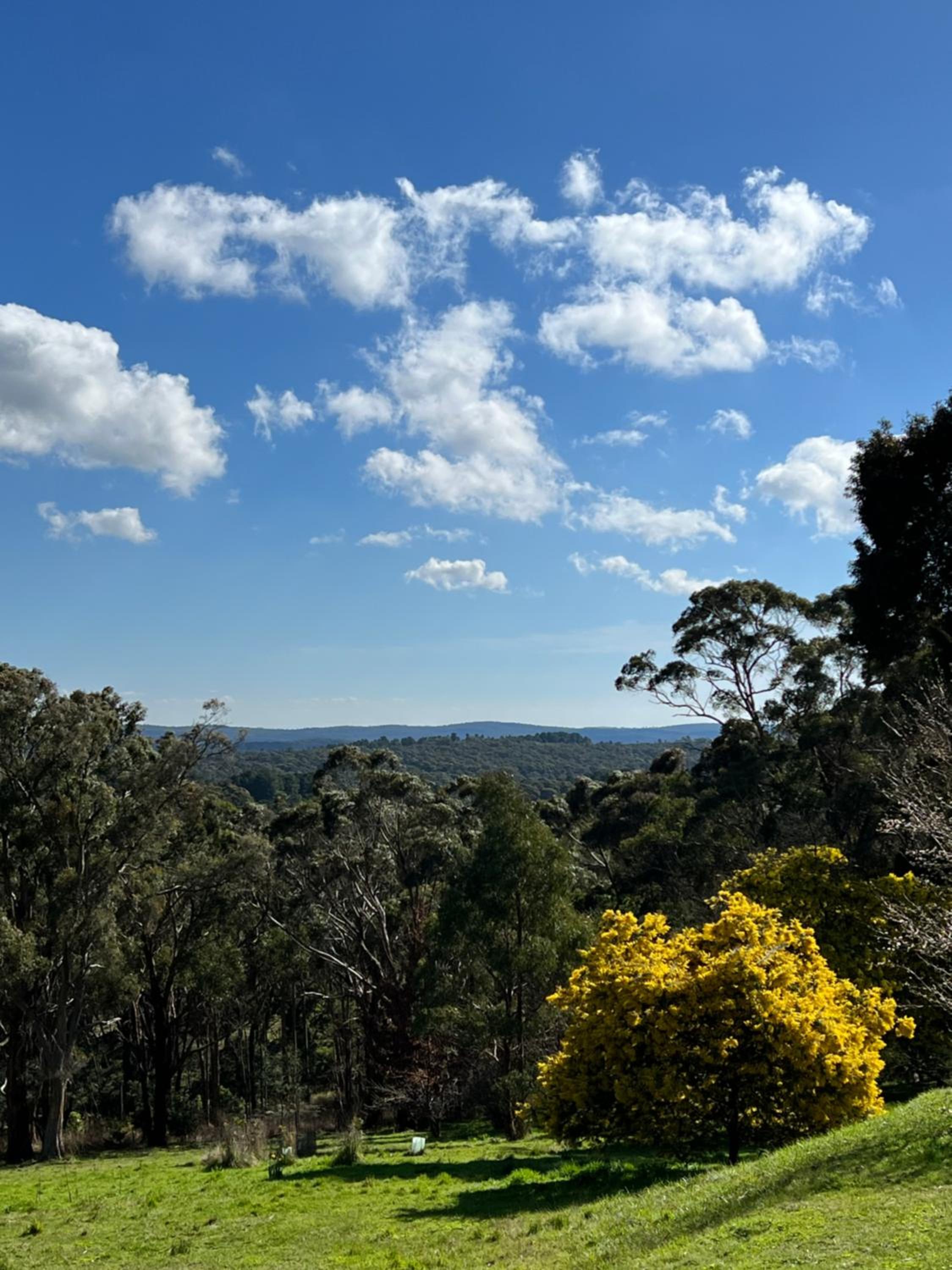 Red Gables Daylesford Suites