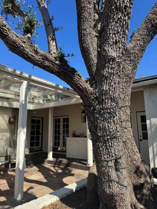 The Beverly Hills Guest Suite