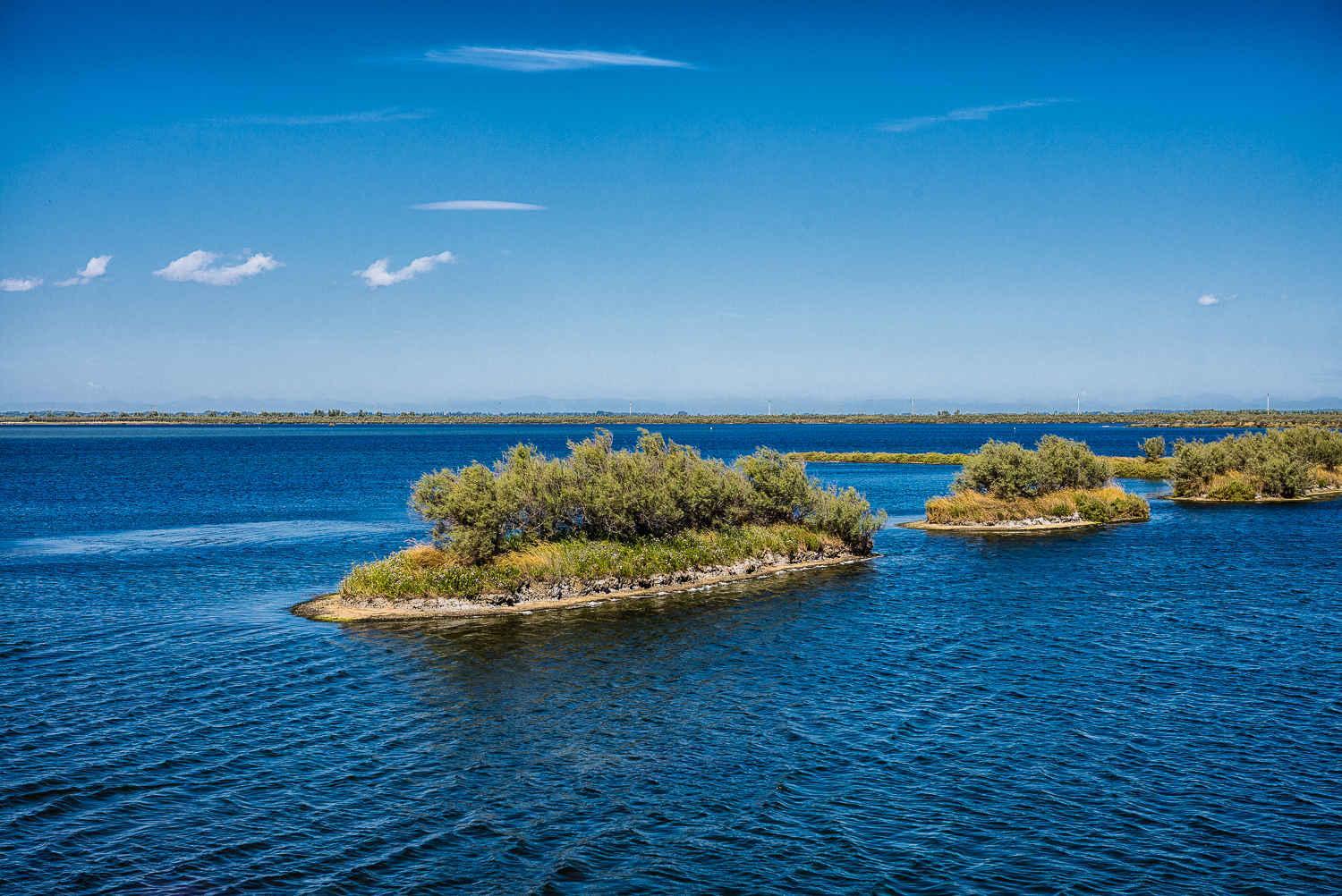 Apartment in Rosolina Mare 51422 photo 4