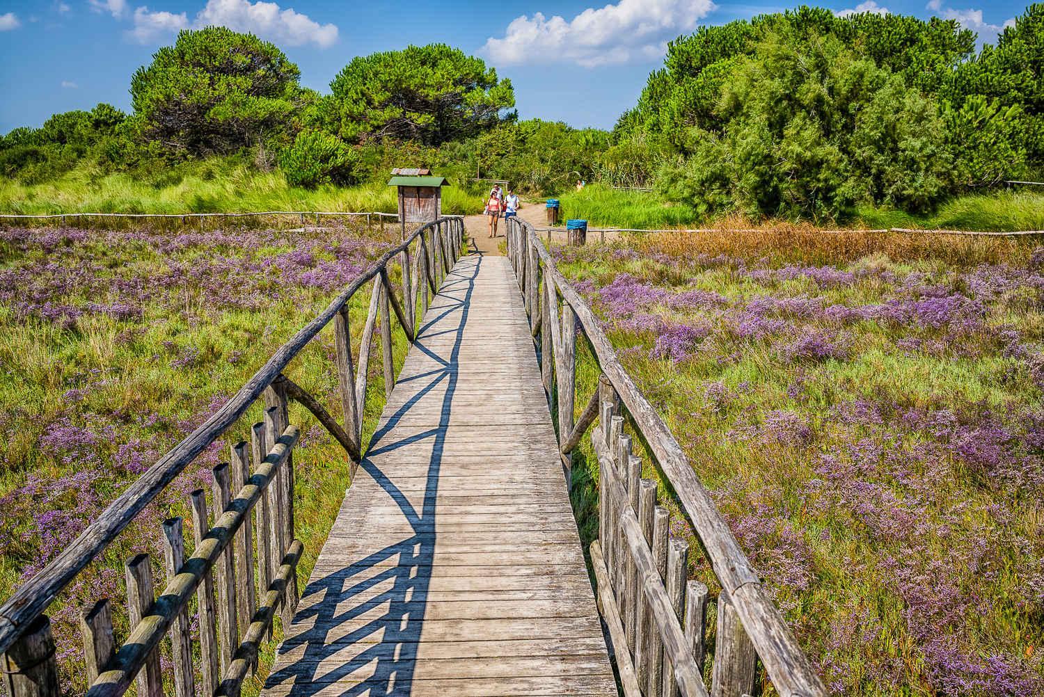 Apartment in Rosolina Mare 51422 photo 5