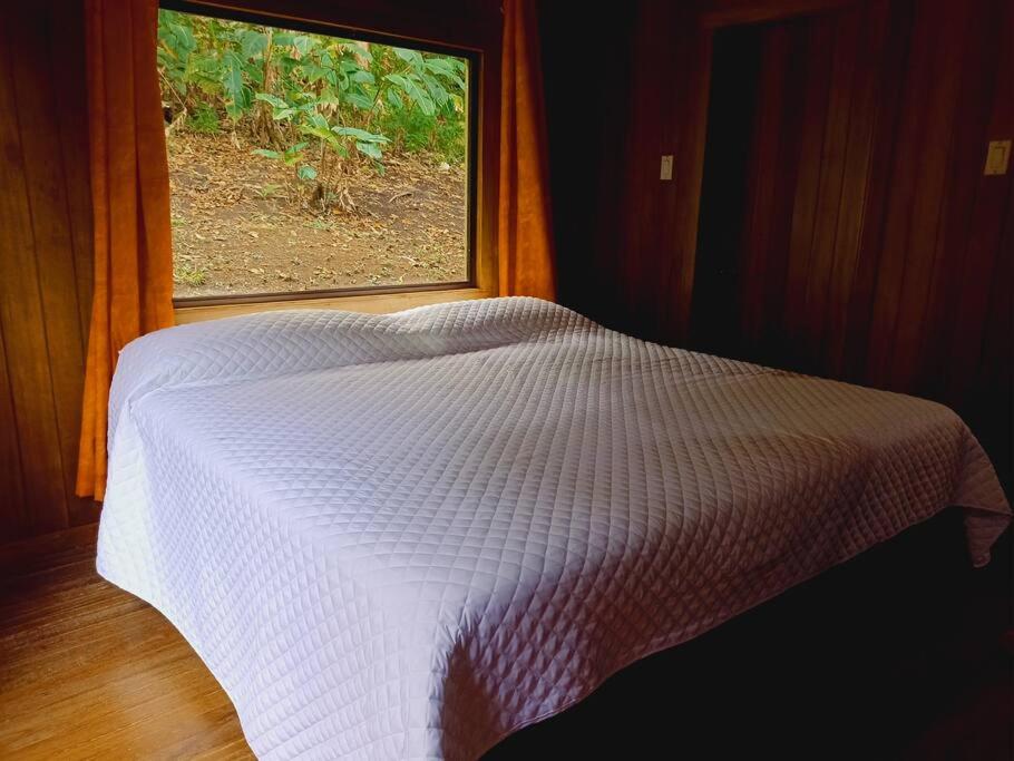 Private House Next to the Cloud Forest Reserve
