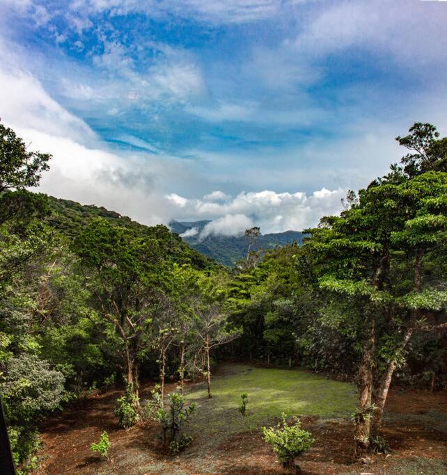 Private House Next to the Cloud Forest Reserve