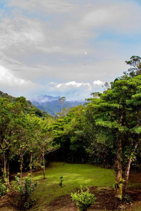 Private House Next to the Cloud Forest Reserve