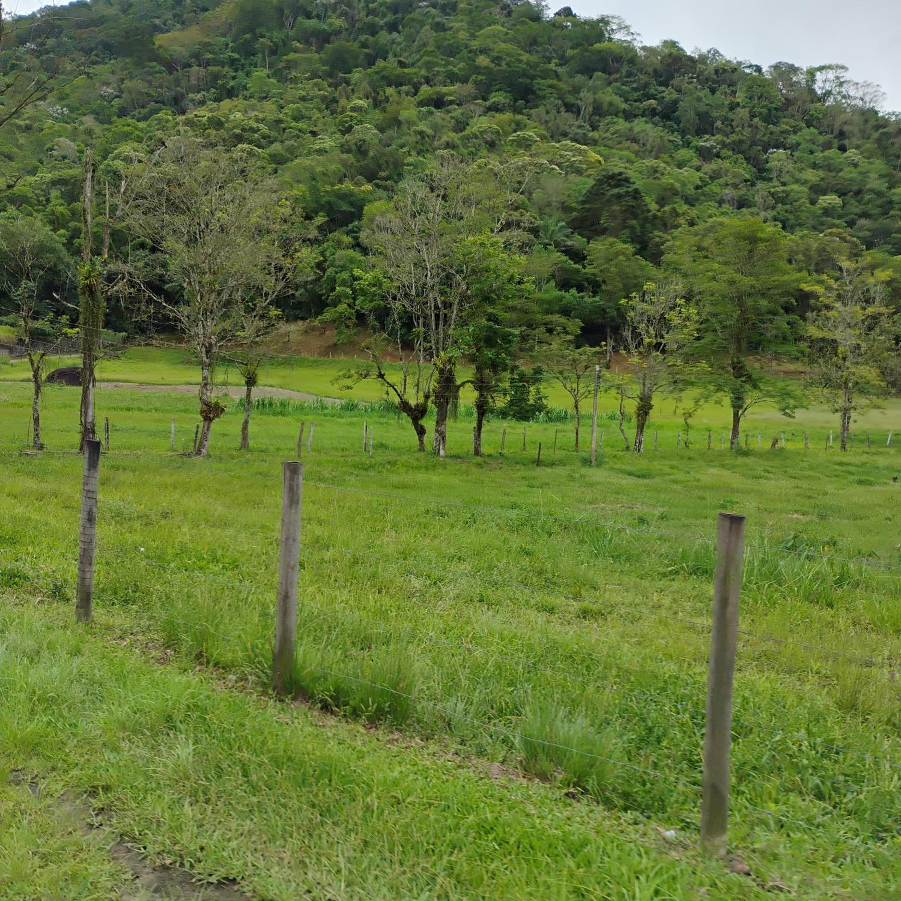Pousada Bom Jardim