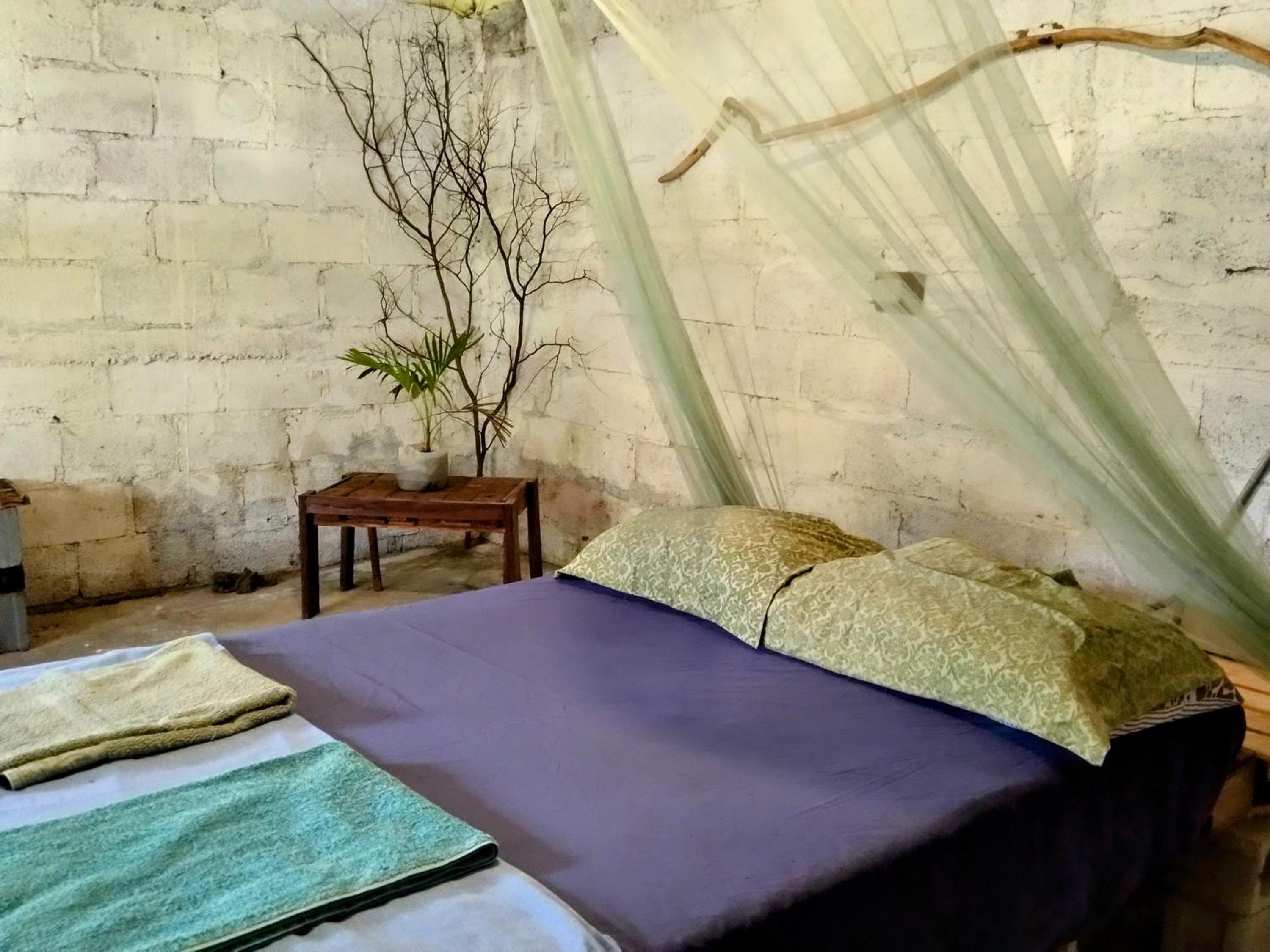 Hypnomad Hostel