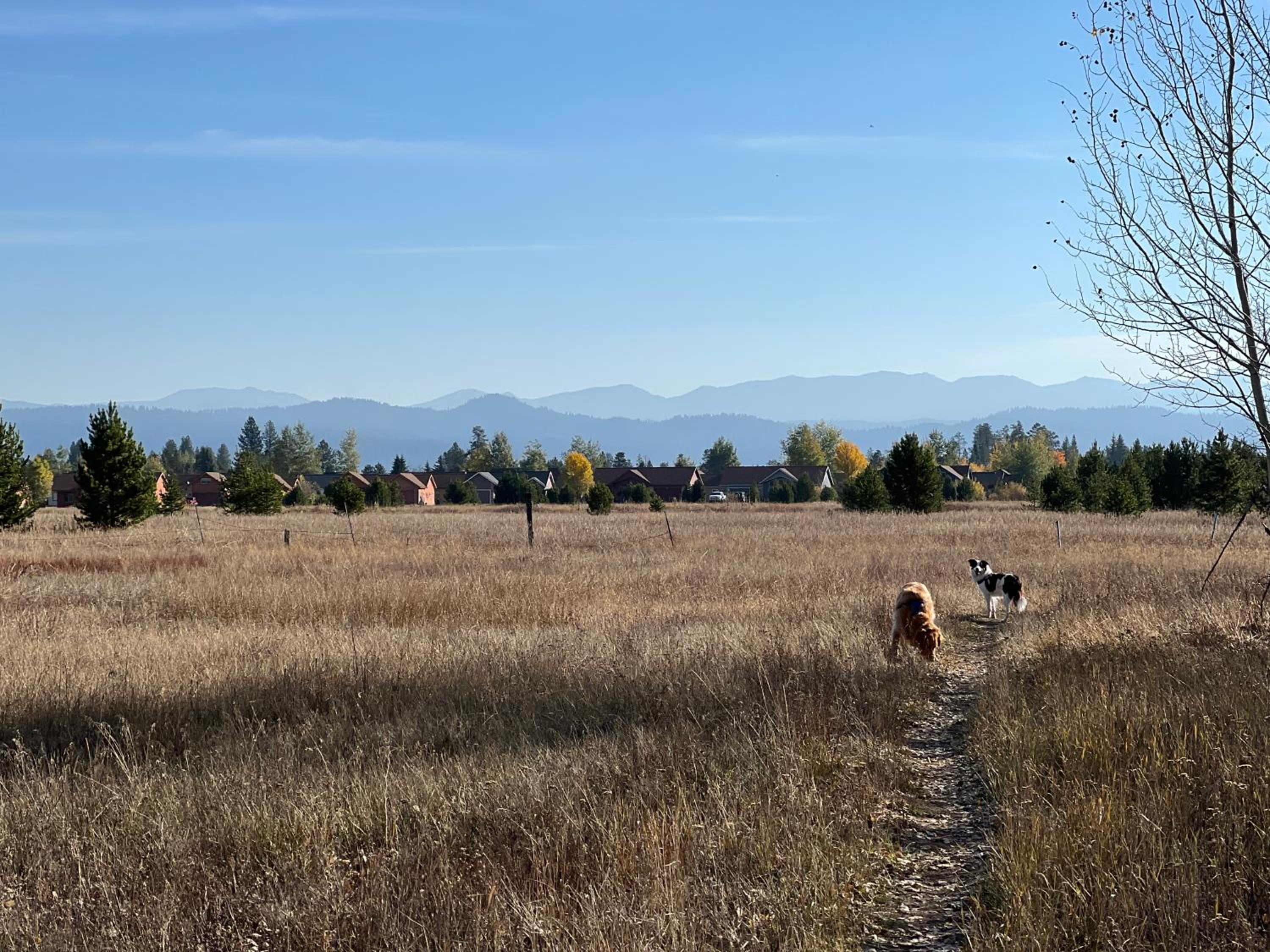 Home in the Mtns - Fragrance Free, Family Friendly view 3