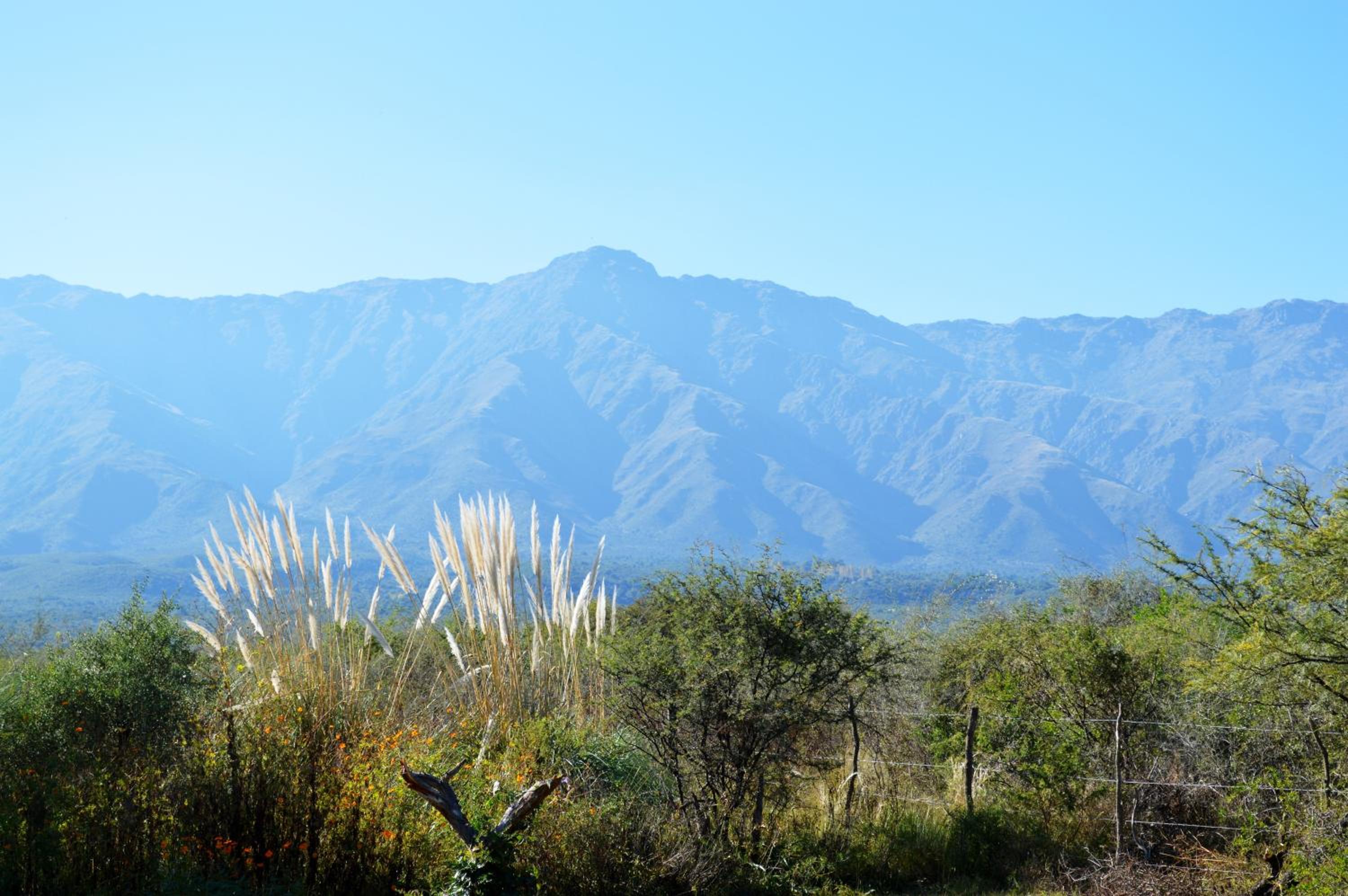 La Teresita Posada