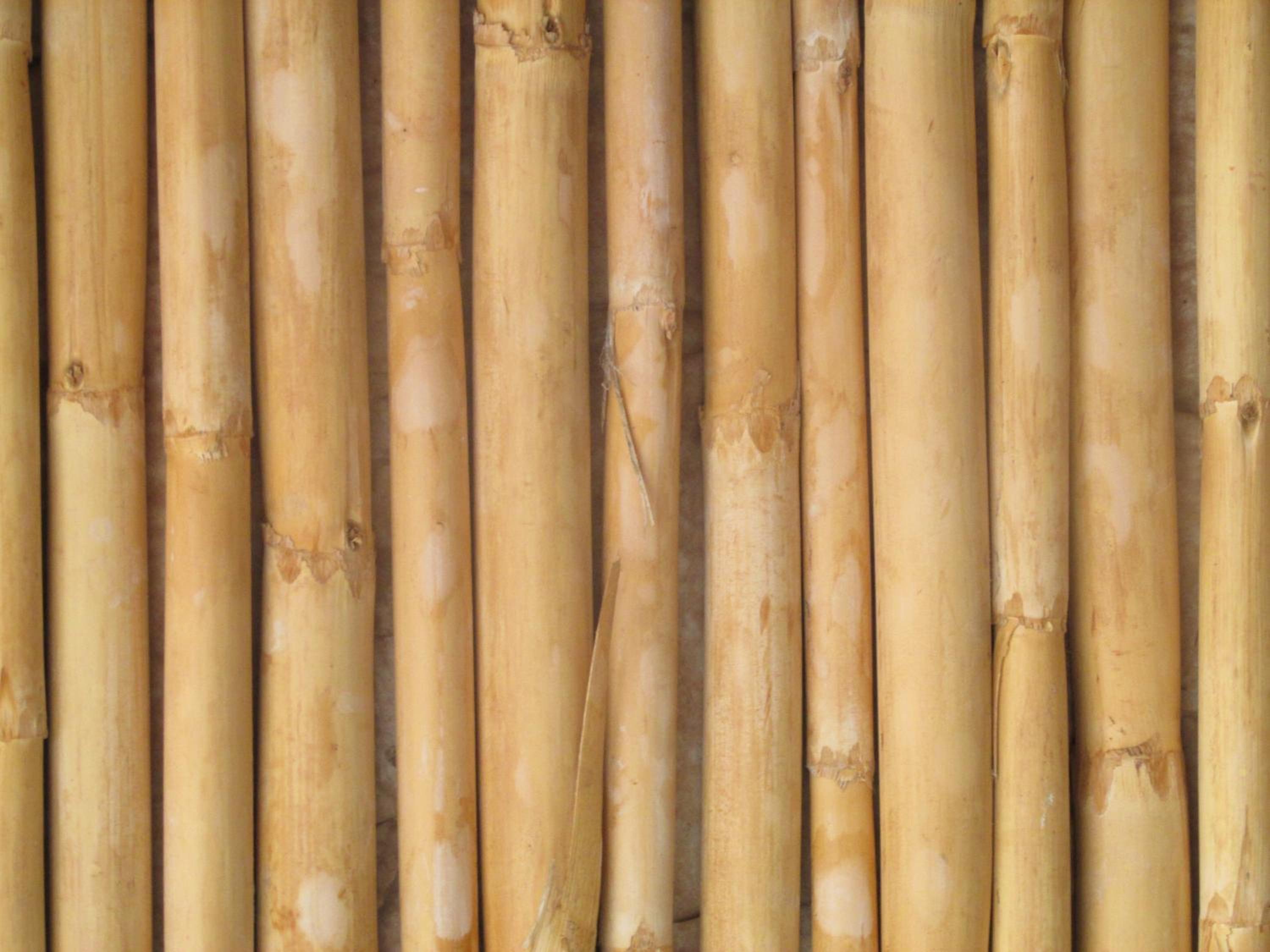Las Cardas Posada