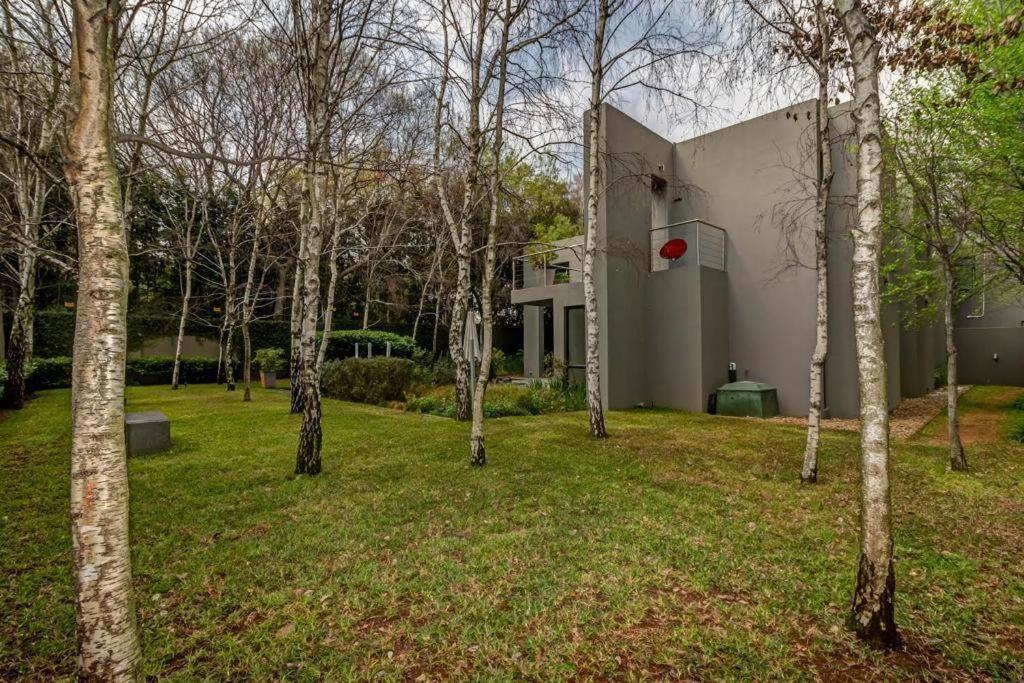 Houghton Luxury Villa