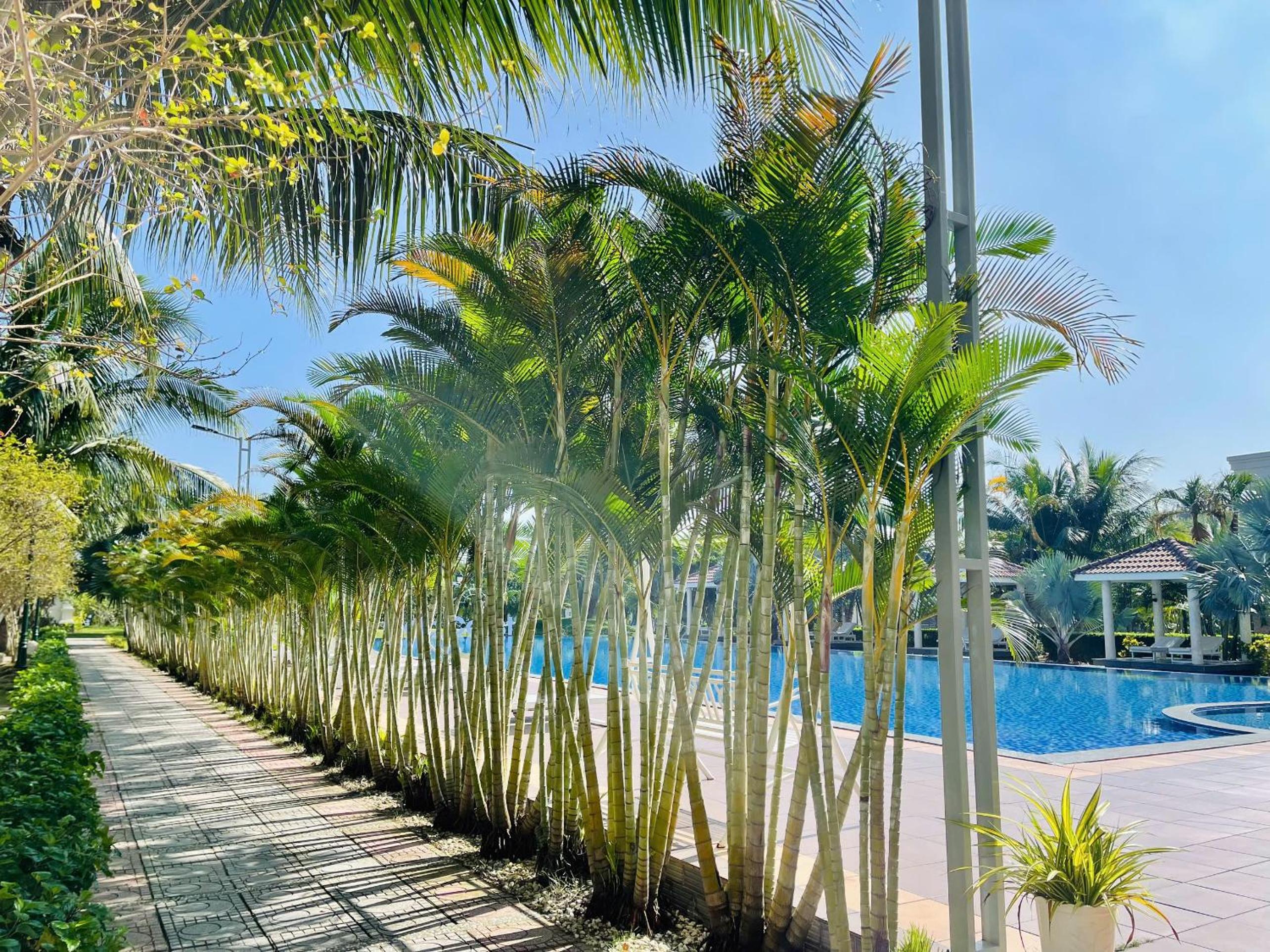 Gold Coast Hotel Resort & Spa
