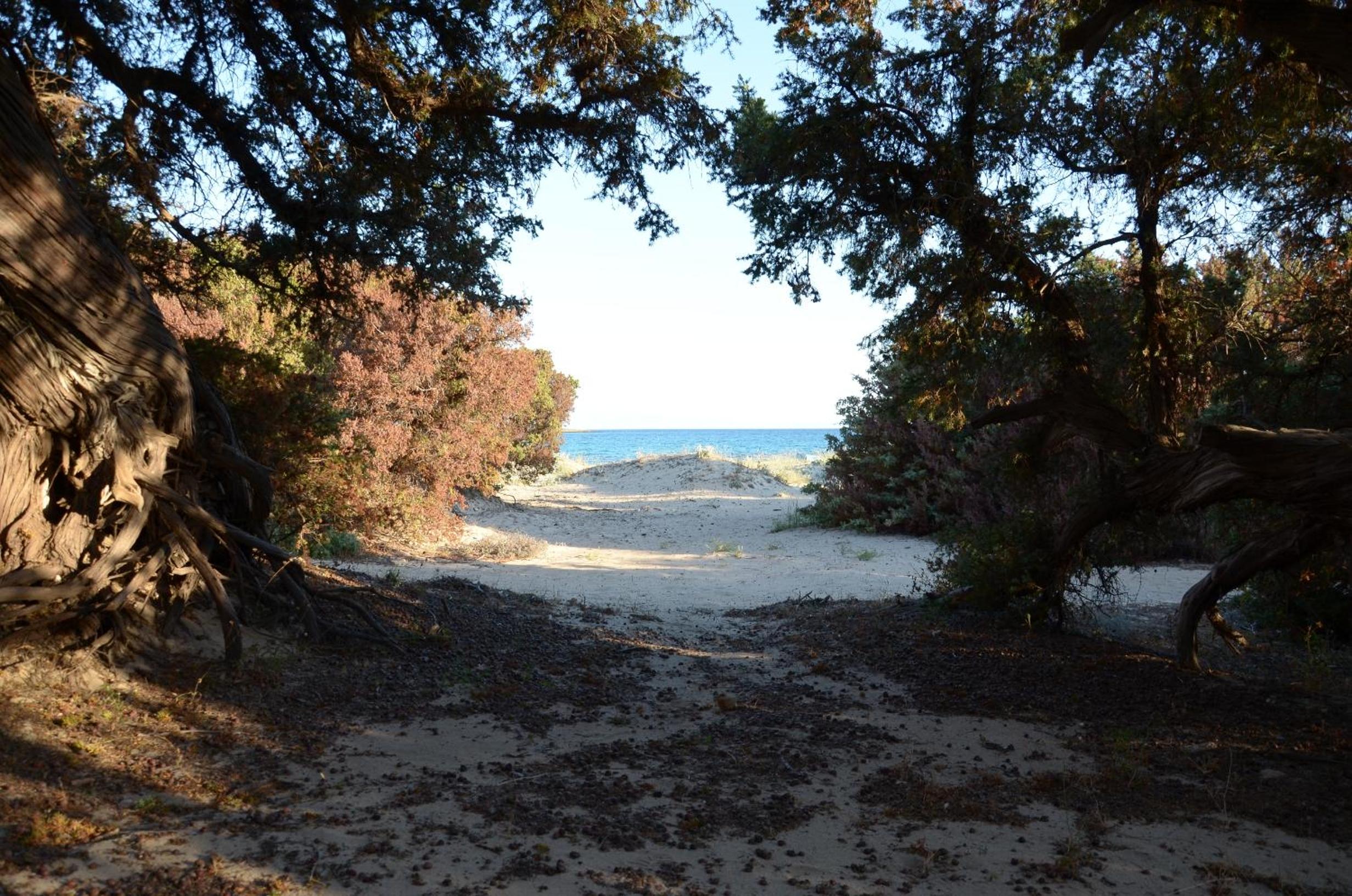 Photo 43