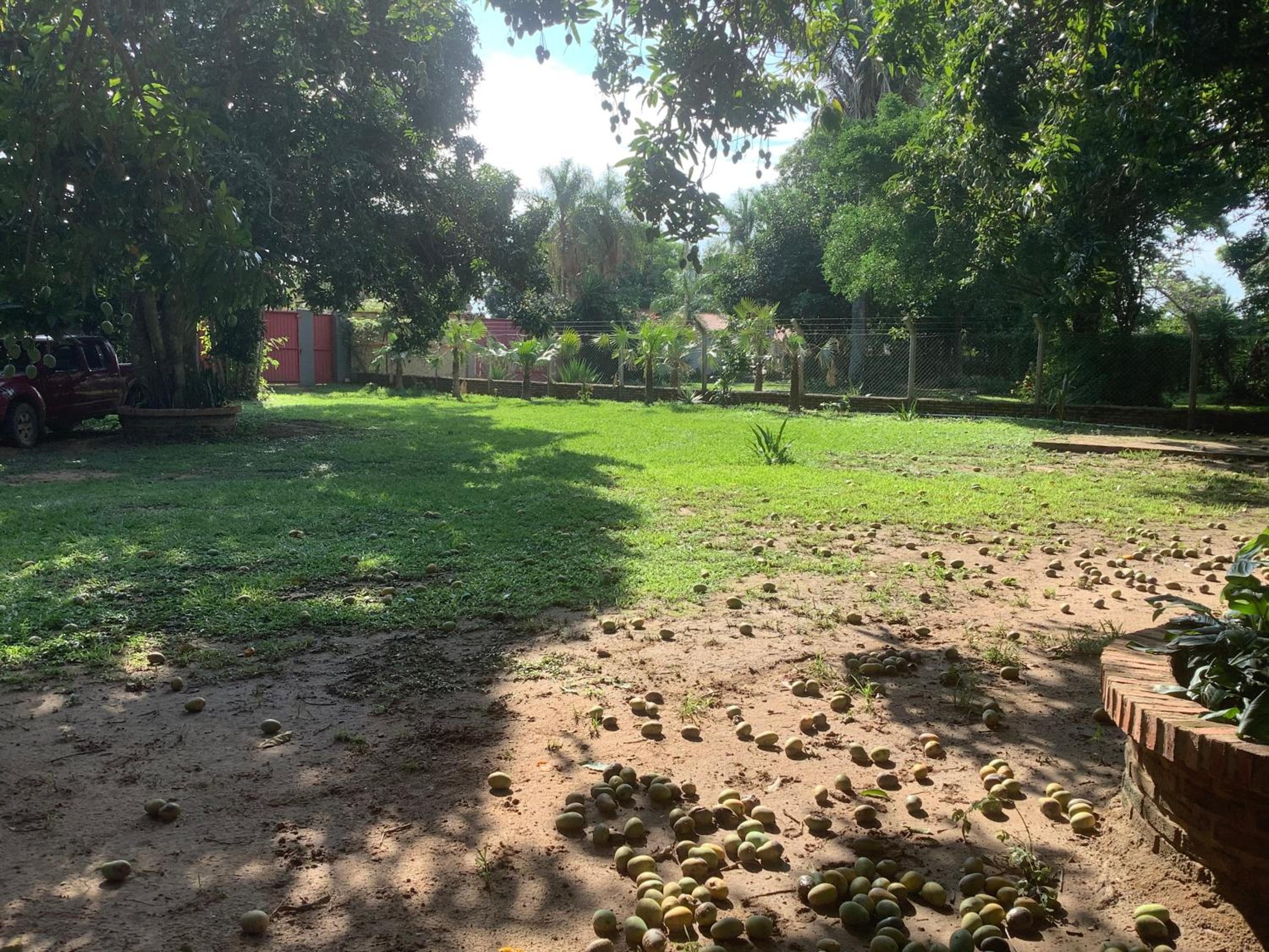 Casa quinta el rey