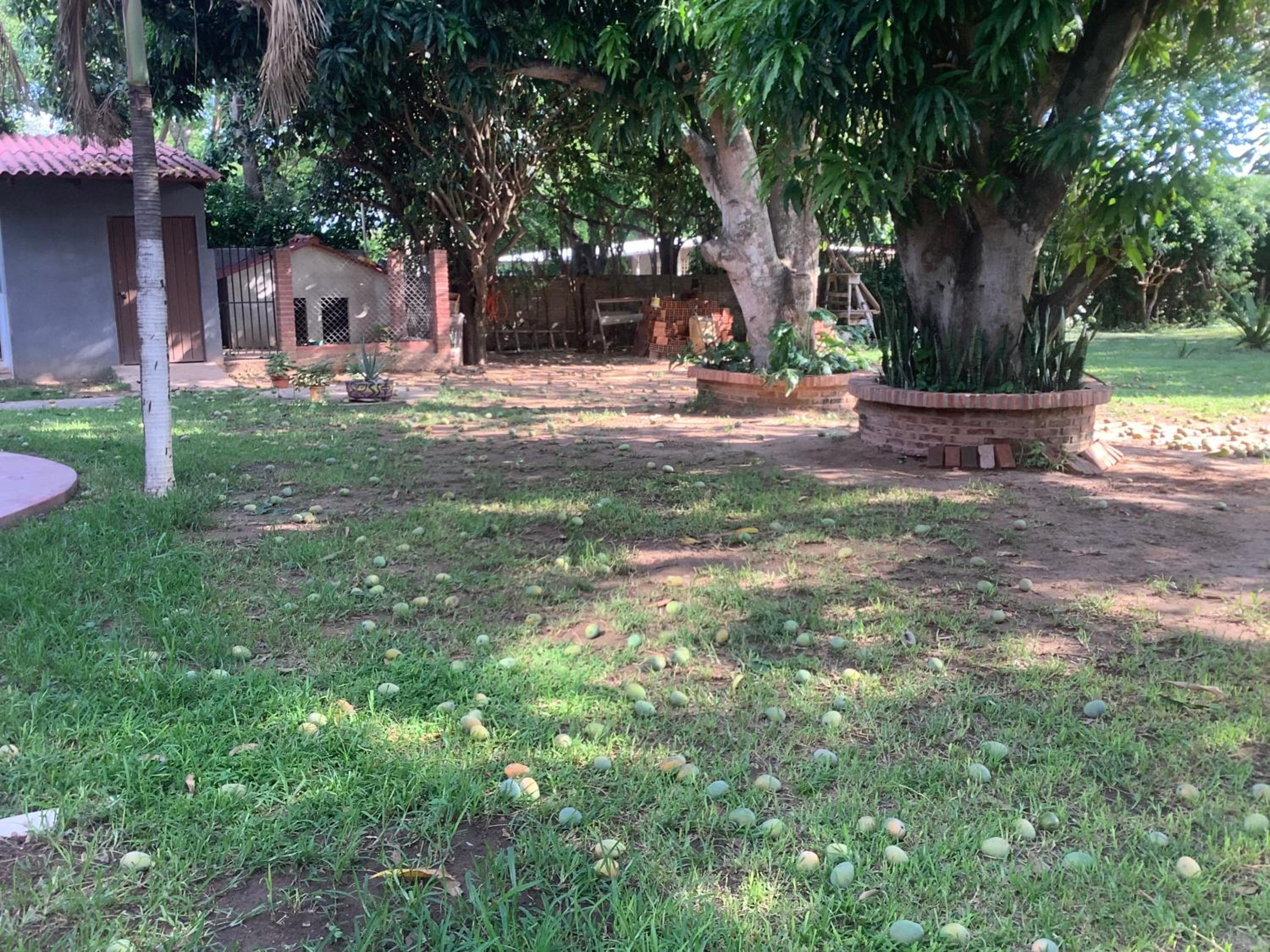 Casa quinta el rey