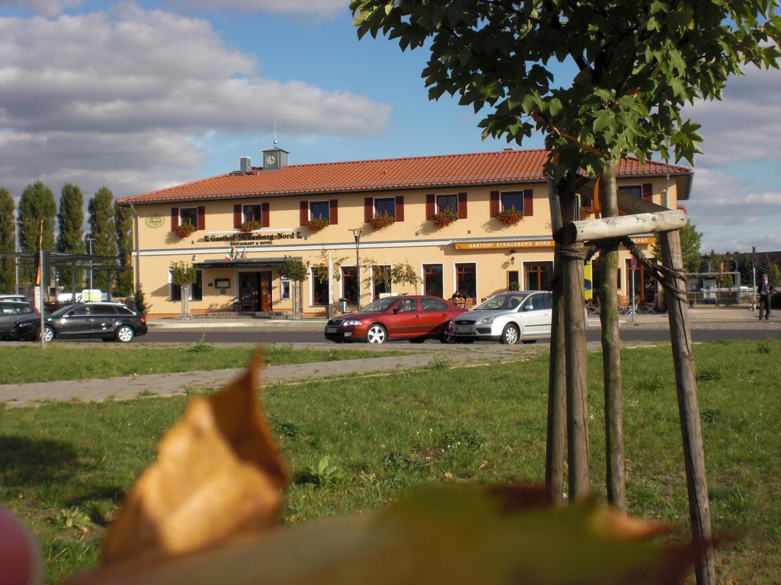 Photo 11