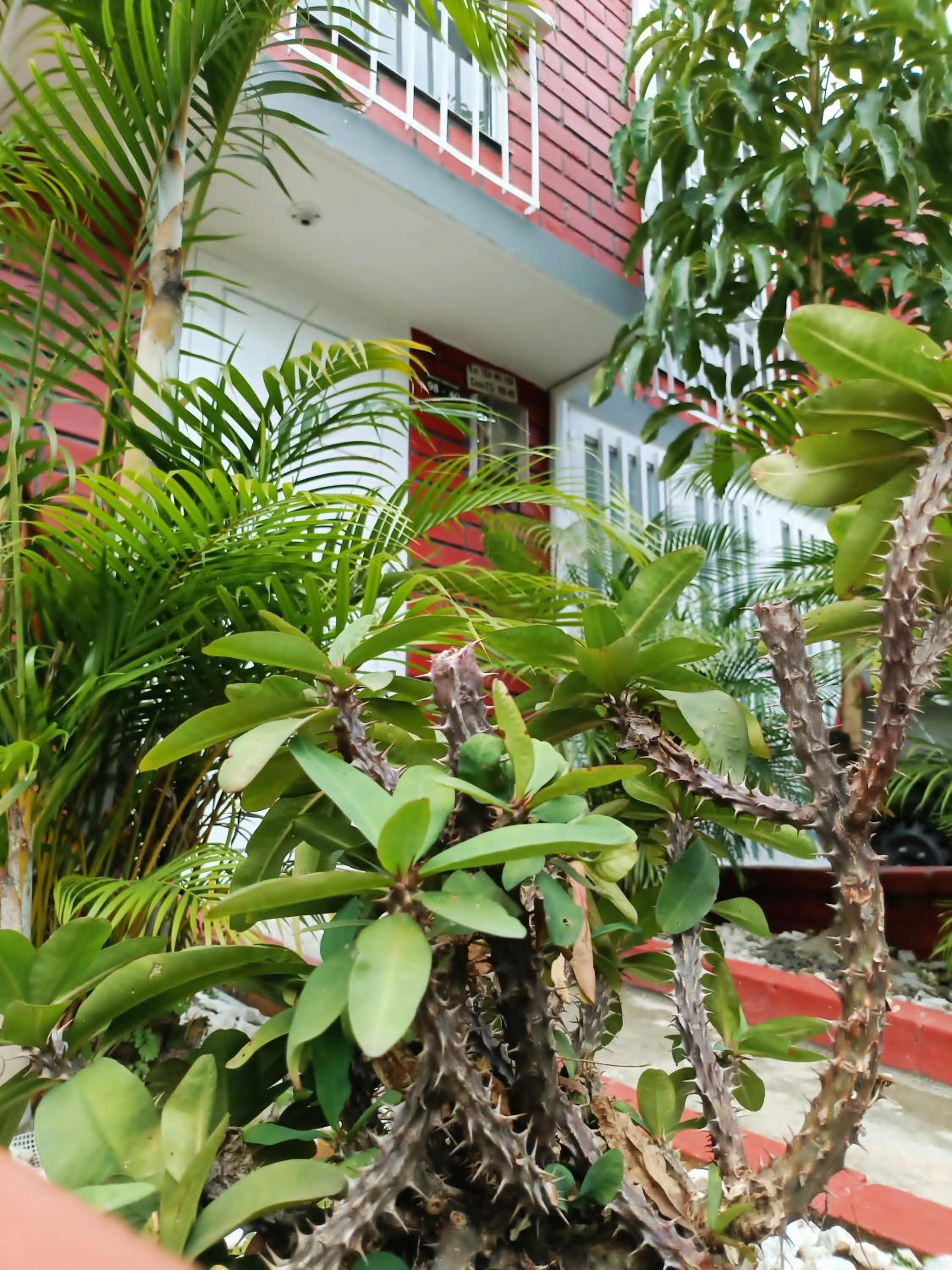 Casa Familiar 4 Habitaciones con Agua Caliente, WiFi y Patio - Acepta Mascotas