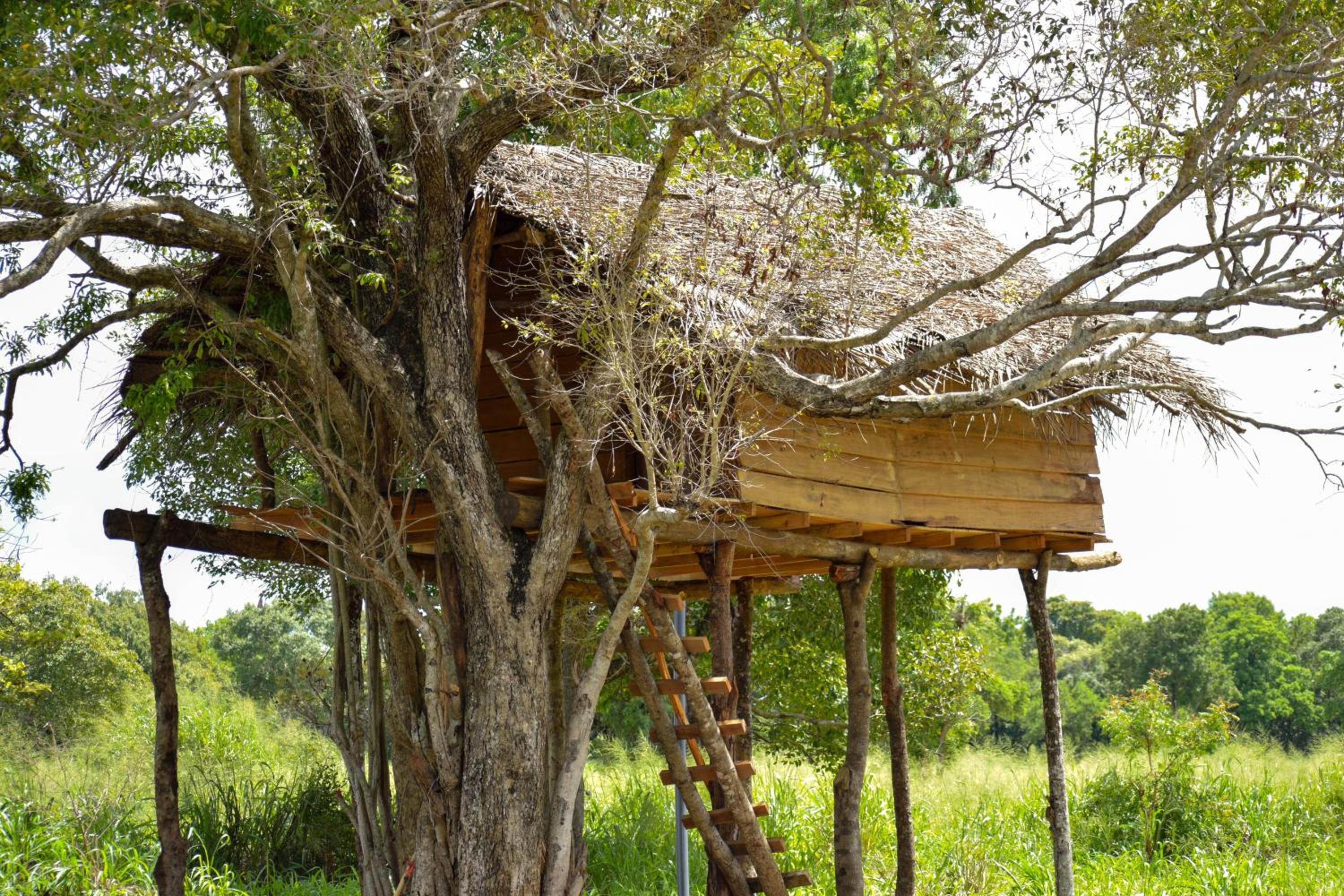 Habarana Wildwood Treehouse view 5