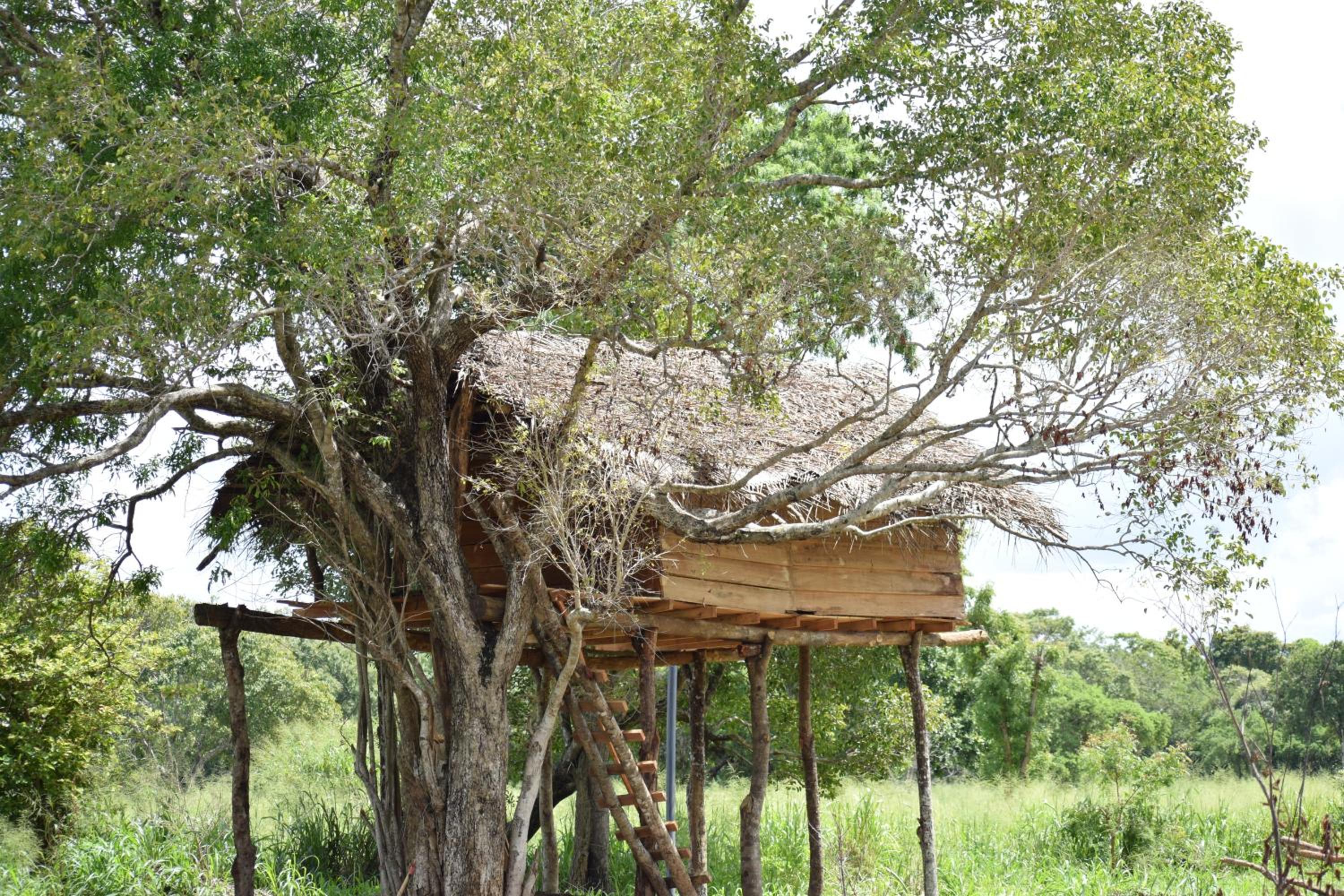 Habarana Wildwood Treehouse view 4