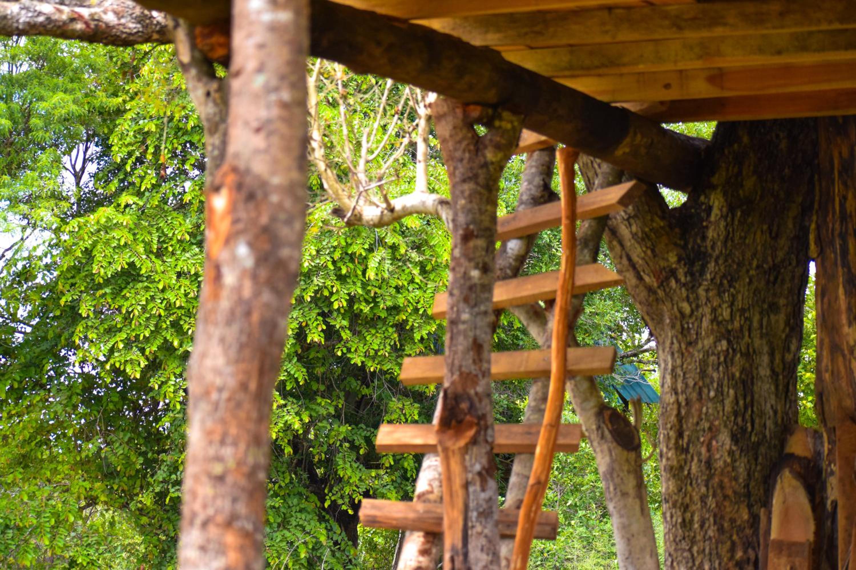 Habarana Wildwood Treehouse view 3