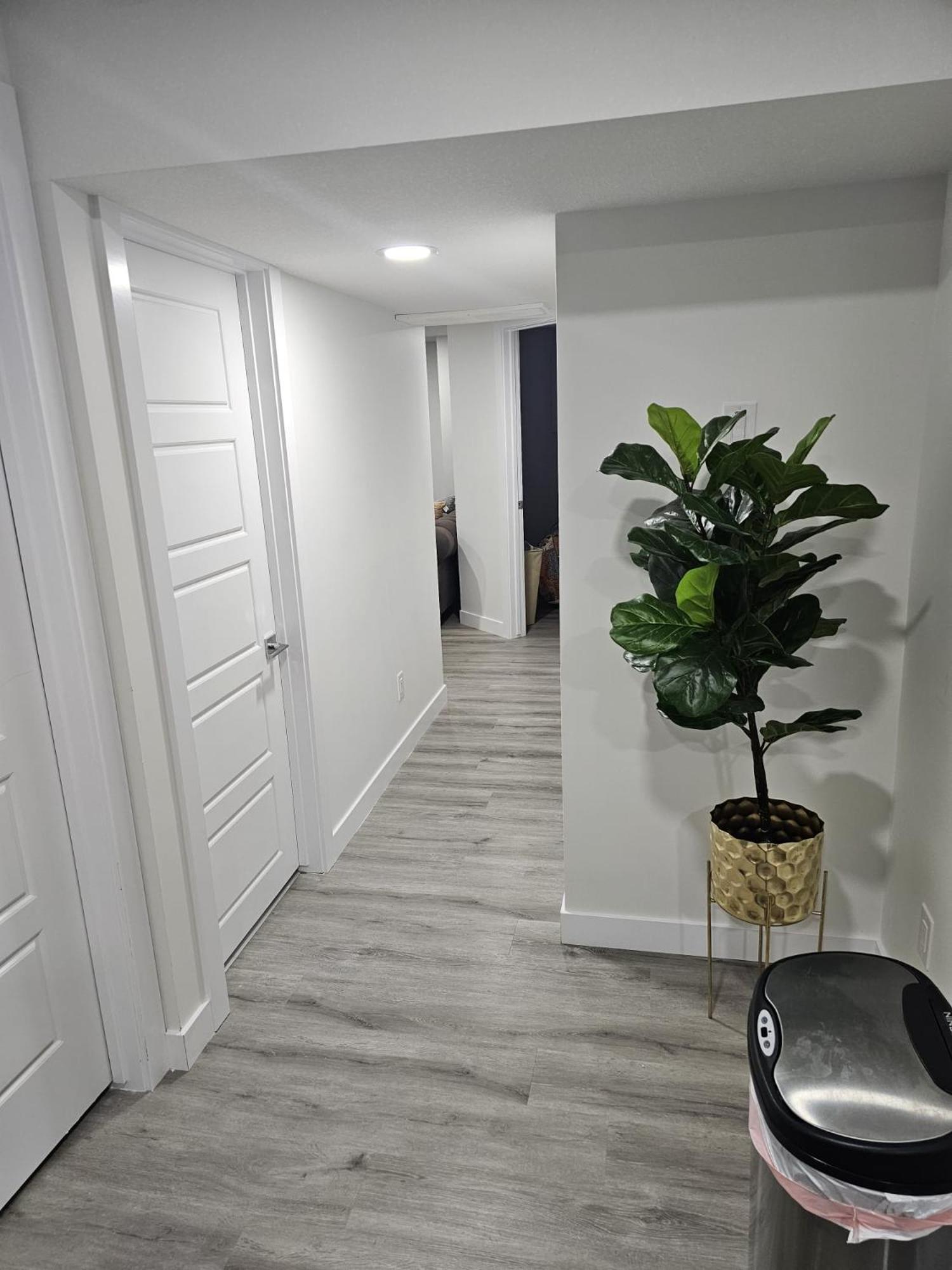 Contemporary Two Bedroom Basement Suite