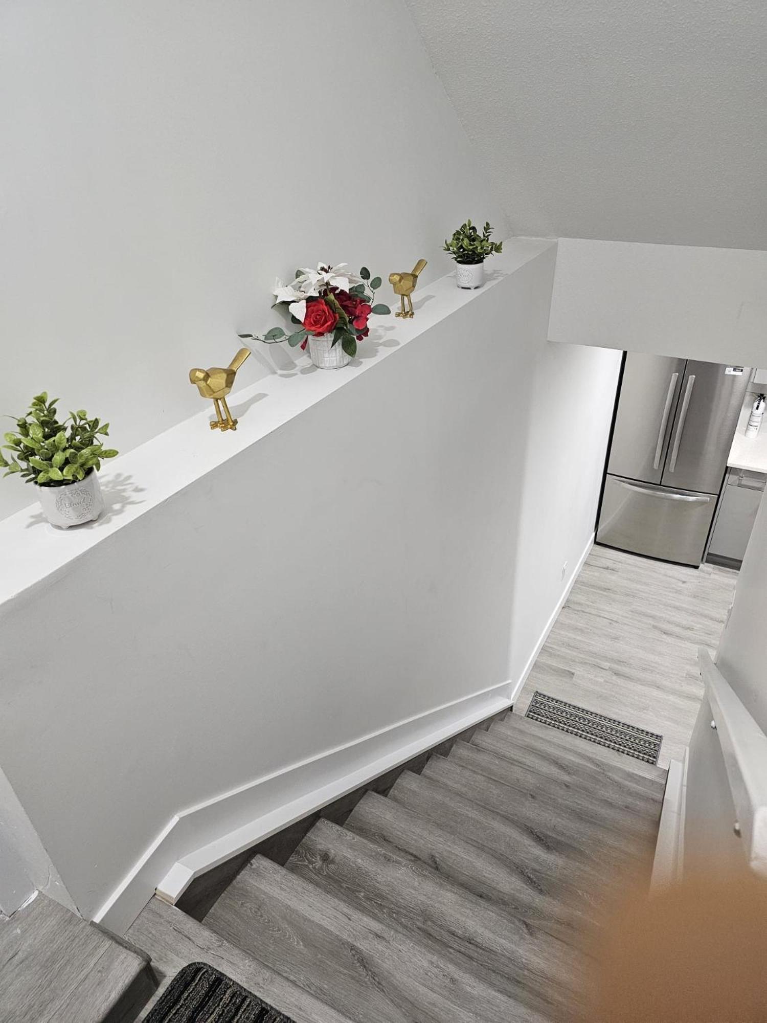 Contemporary Two Bedroom Basement Suite