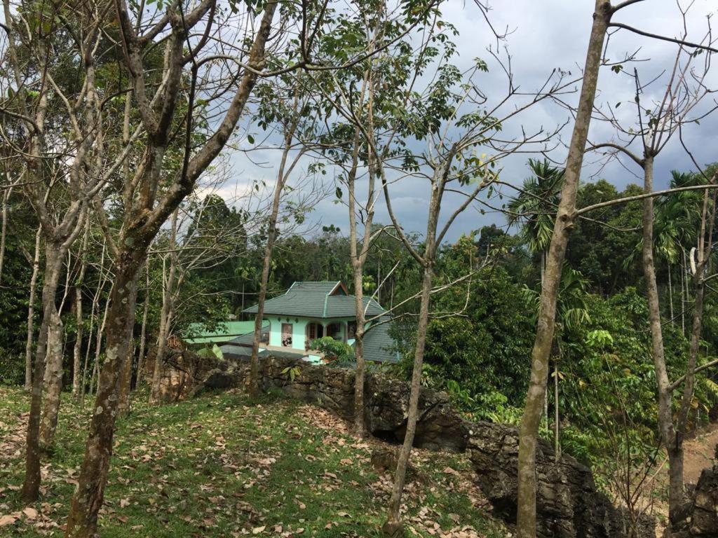 Bukit lawang view 3